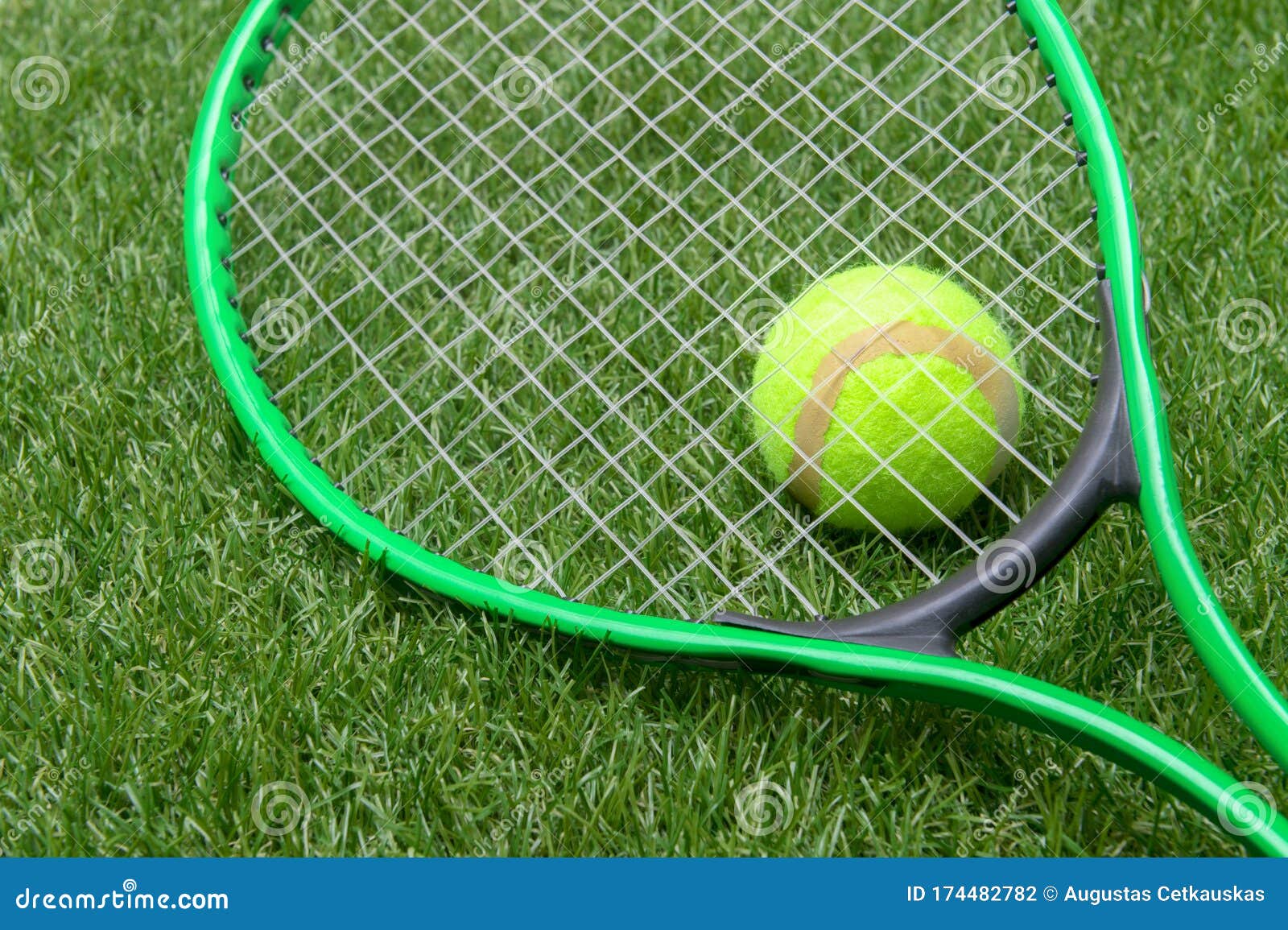 Tennis Racket and Ball on Green Grass Stock Photo Image of court