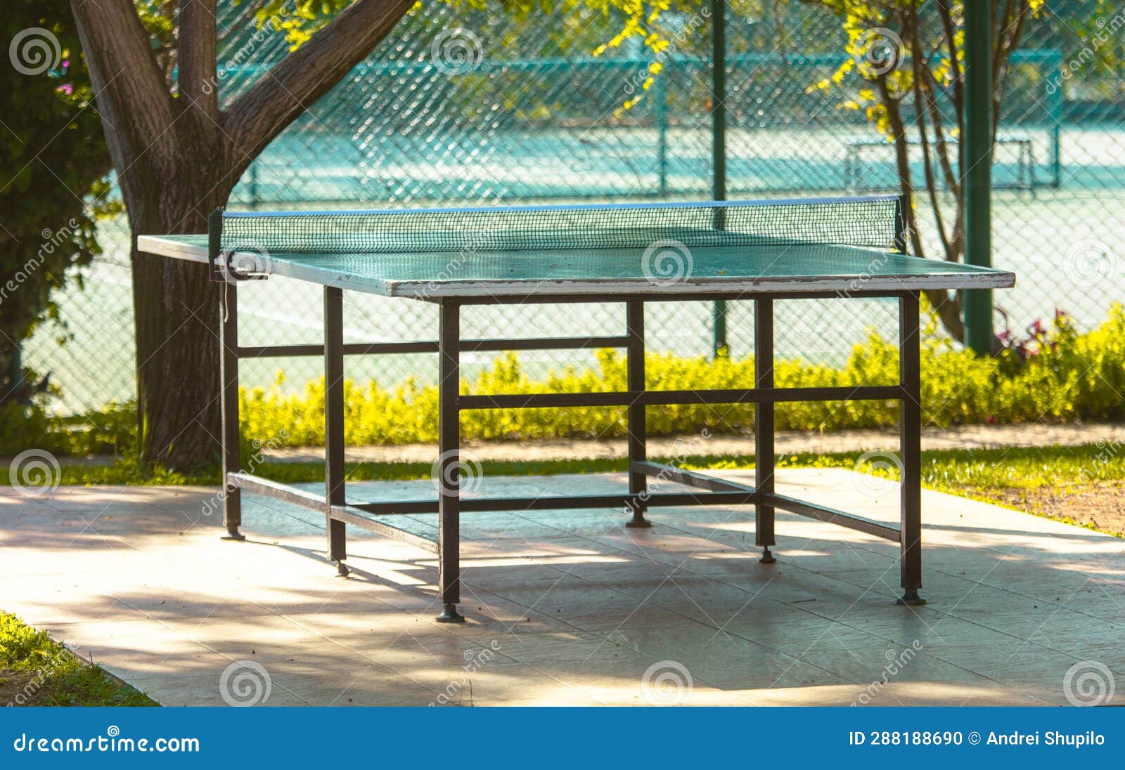 Tennis Table in Nature. Sport Stock Photo Image of grass, pingpong