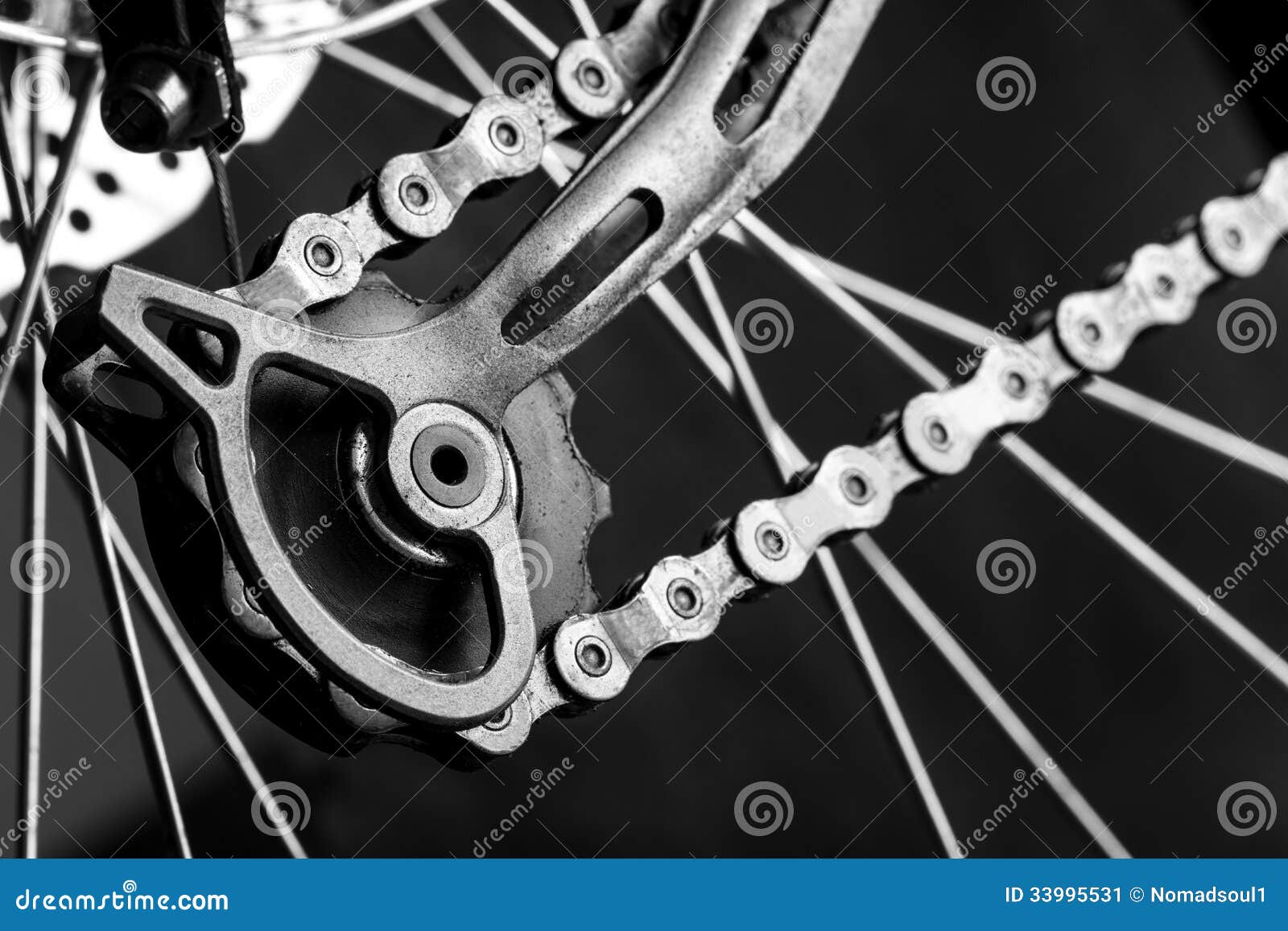 Tensioner Gear of a Bicycle Stock Image Image of healthy, metal 33995531