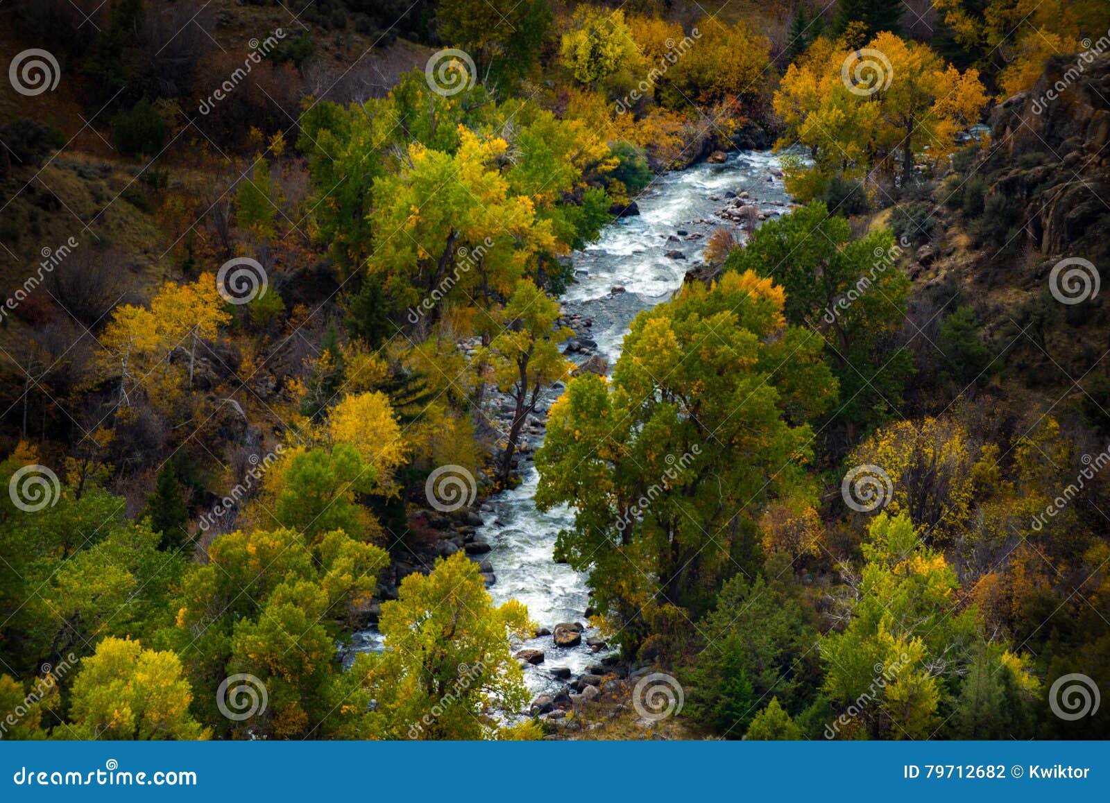 tensleep creek wyoming fall colors