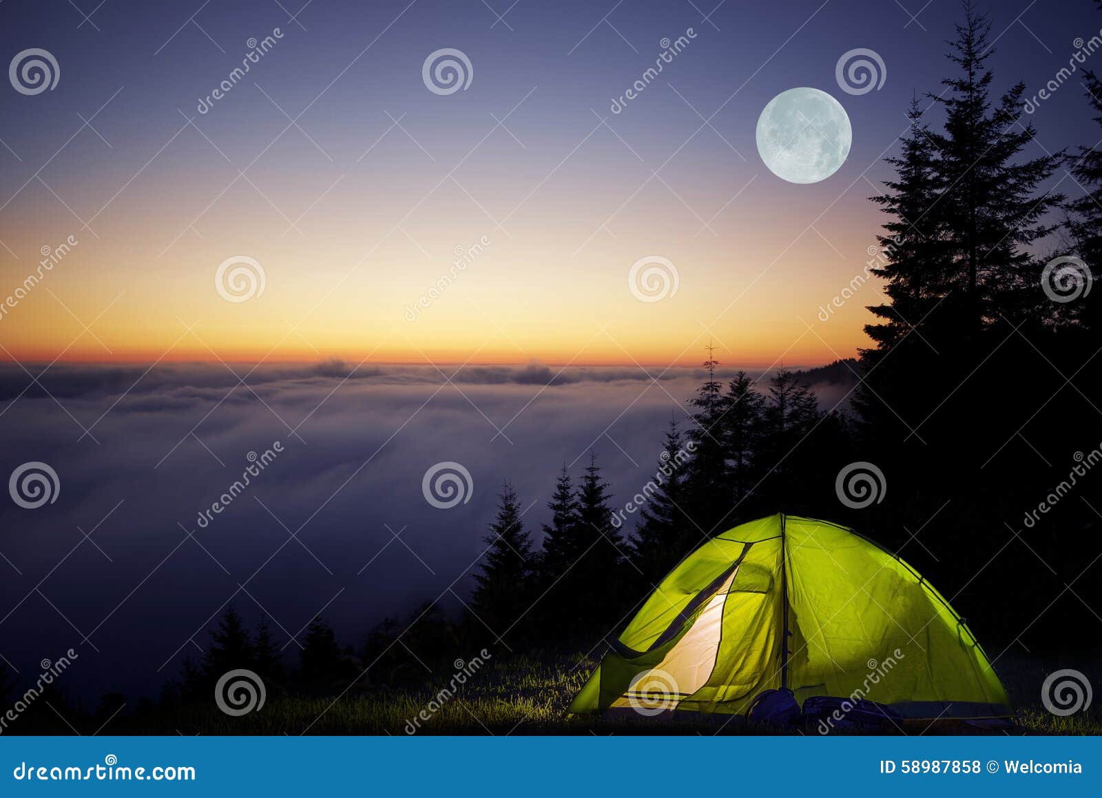 tent camping in a forest