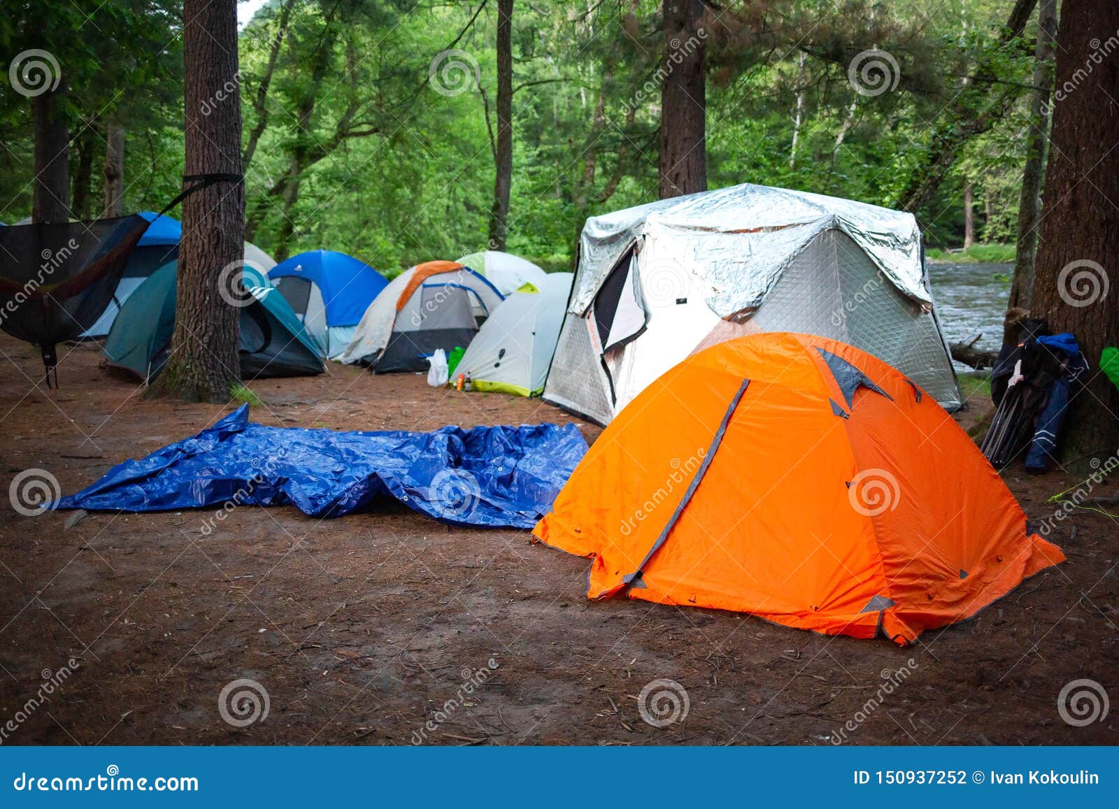 Tent Camping in the Woods at Daylight in Summer Stock Photo Image of