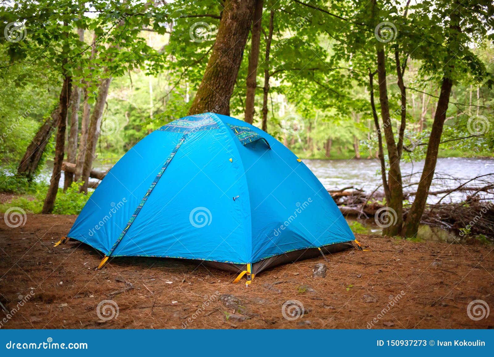 Tent Camping in the Woods at Daylight in Summer Stock Image Image of