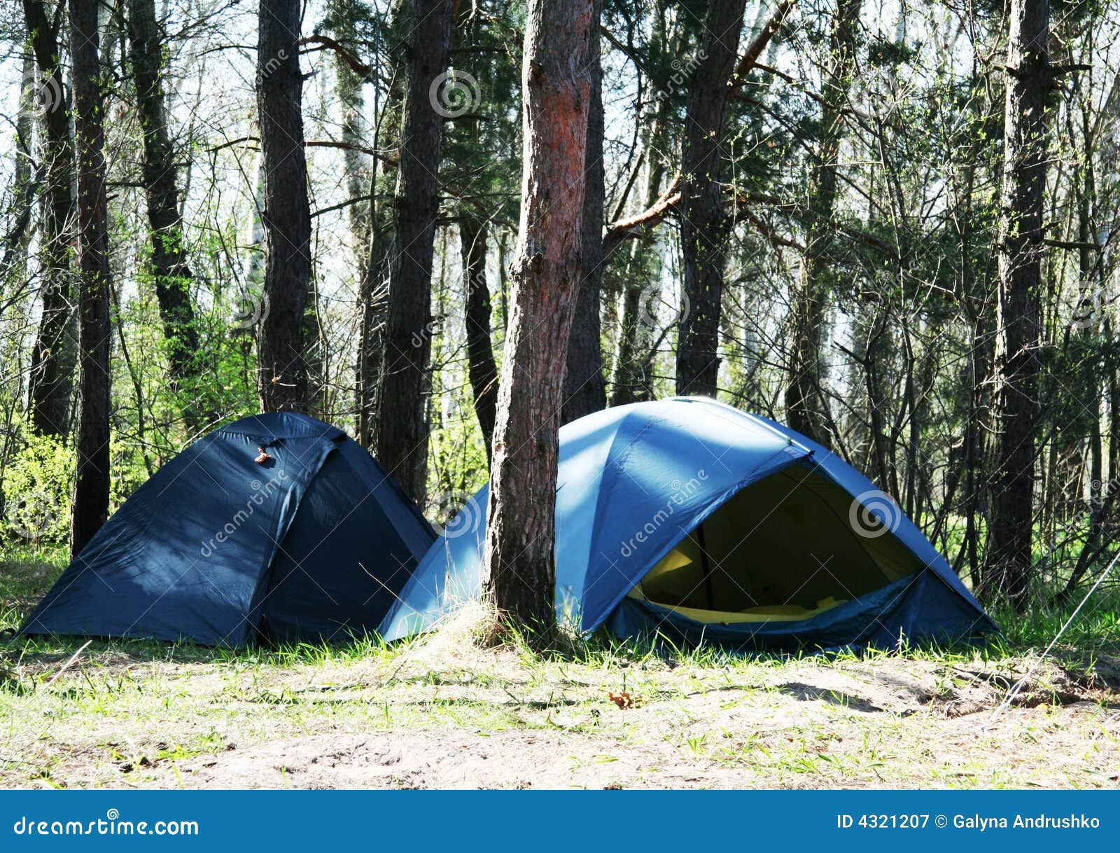 The Forest Sketch Wall Tapestry Sandy Beach Picnic Throw