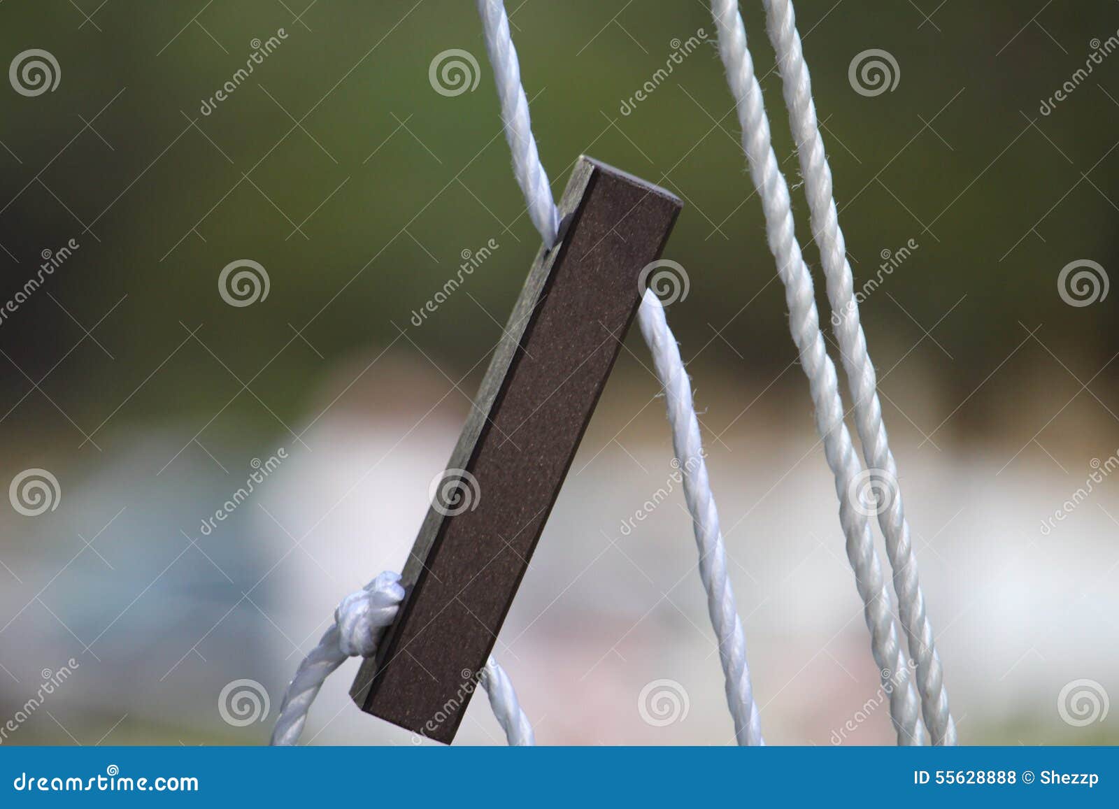 Tent Guy Rope stock photo. Image of knot, nature, tent 55628888