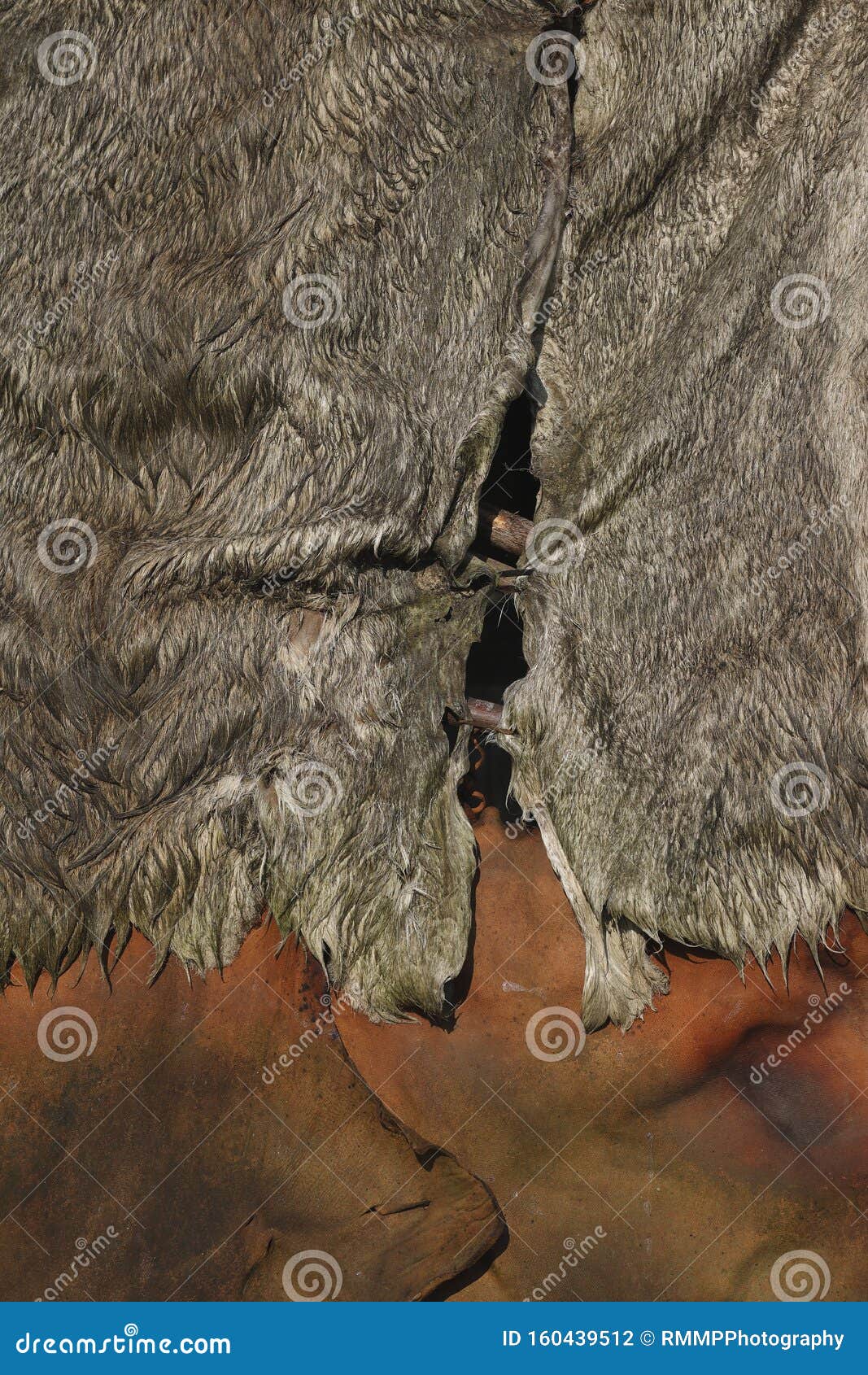 Tent Made of Animal Hides and Branches Stock Photo Image of indian