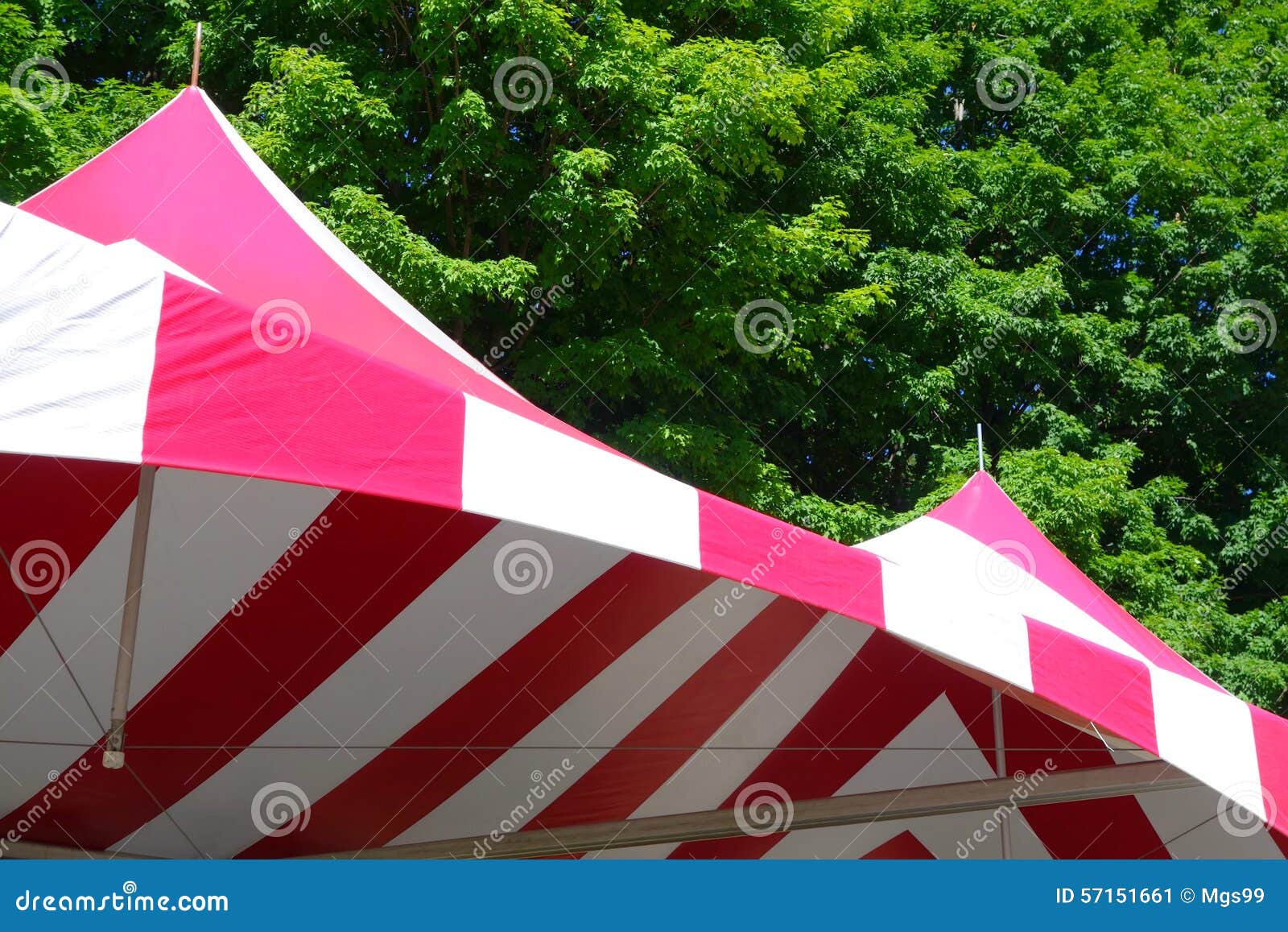 CLANE TENT FLARE TOPS
