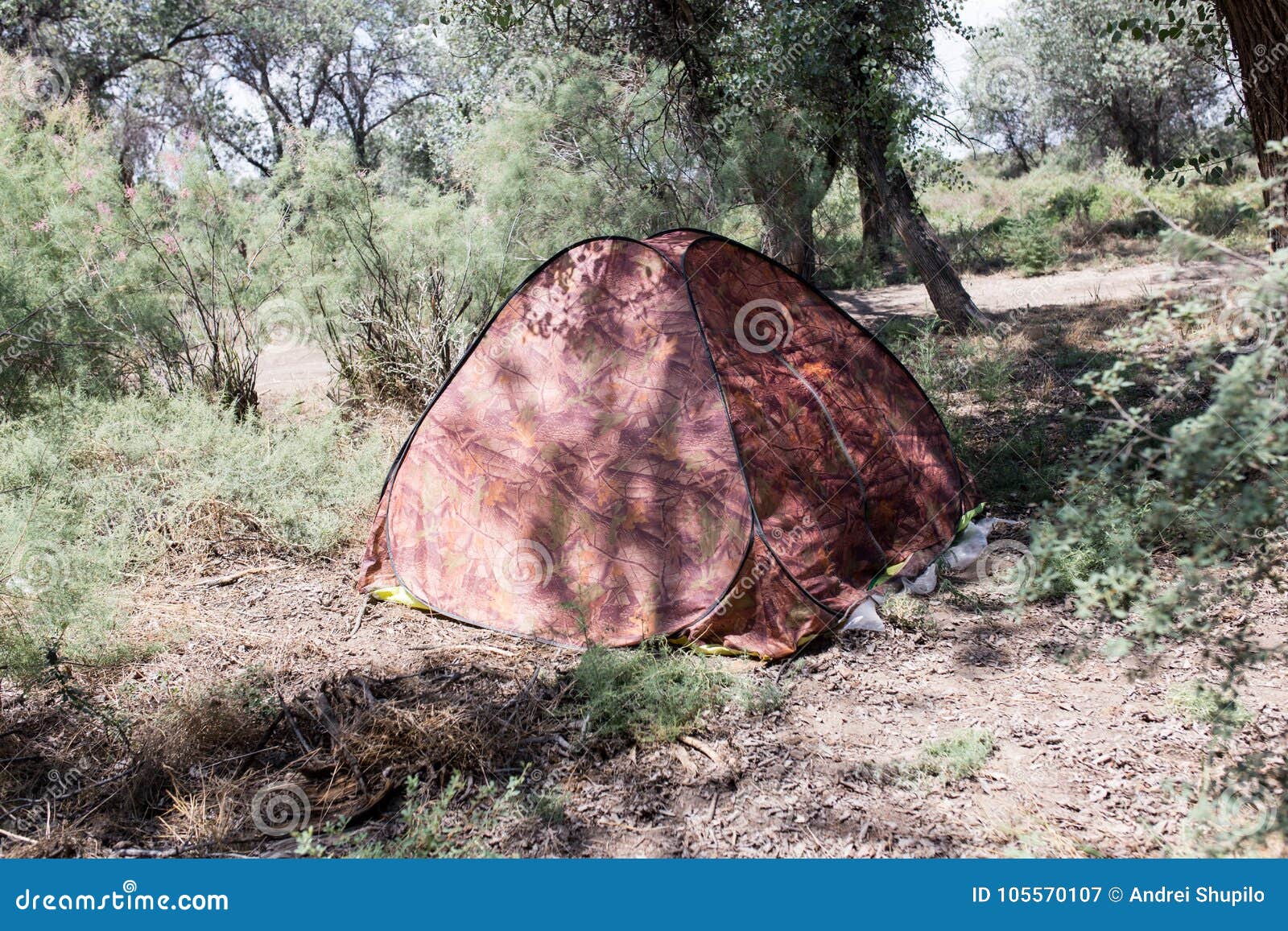 Tent in the Woods on the Nature Stock Image Image of camping, resort