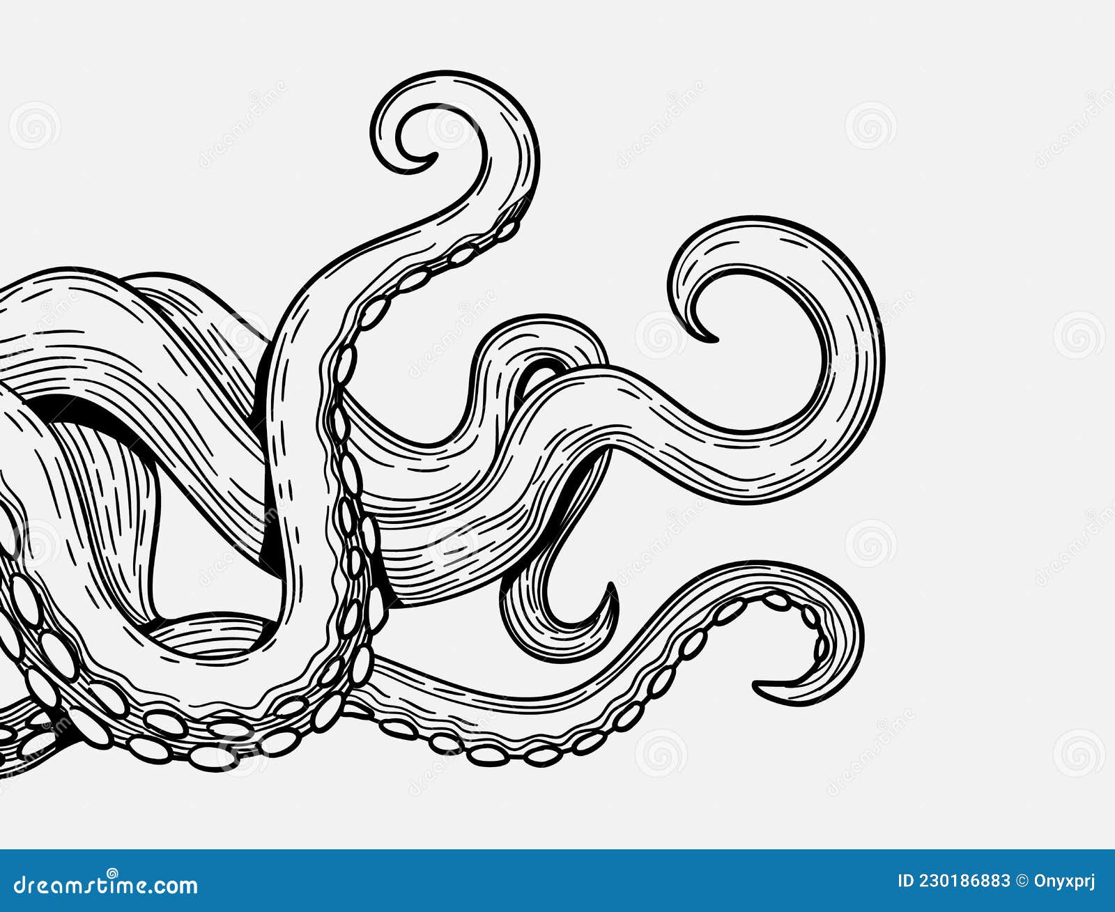 Tentacles Banner. Octopus Tentacle Sketch Element Stock Vector