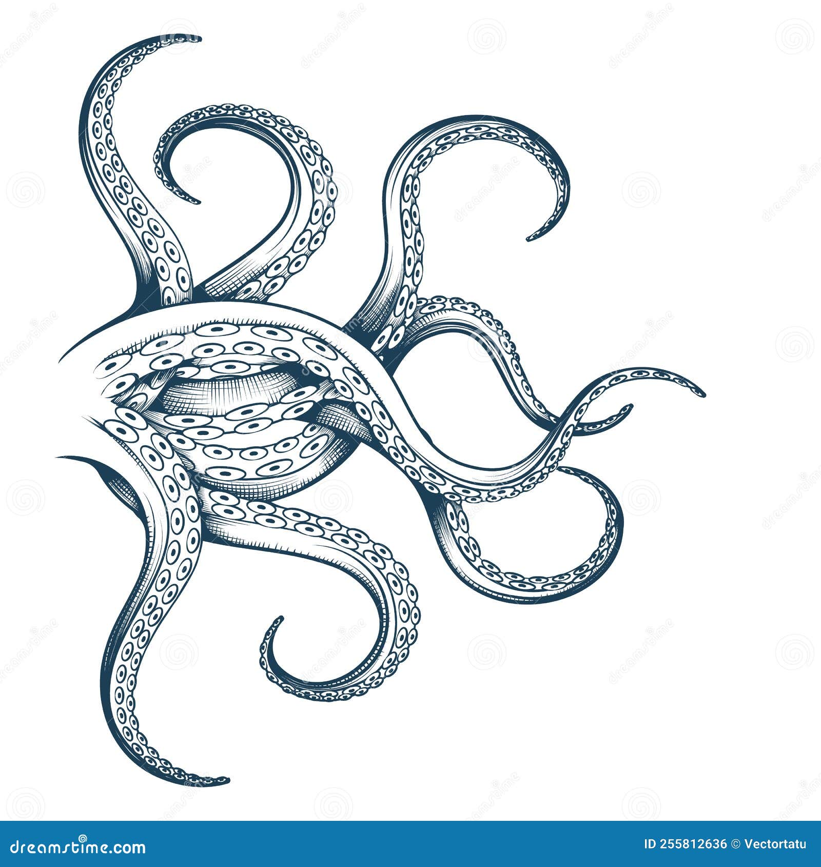 Tentacles ink sketch stock vector. Illustration of black - 255812636