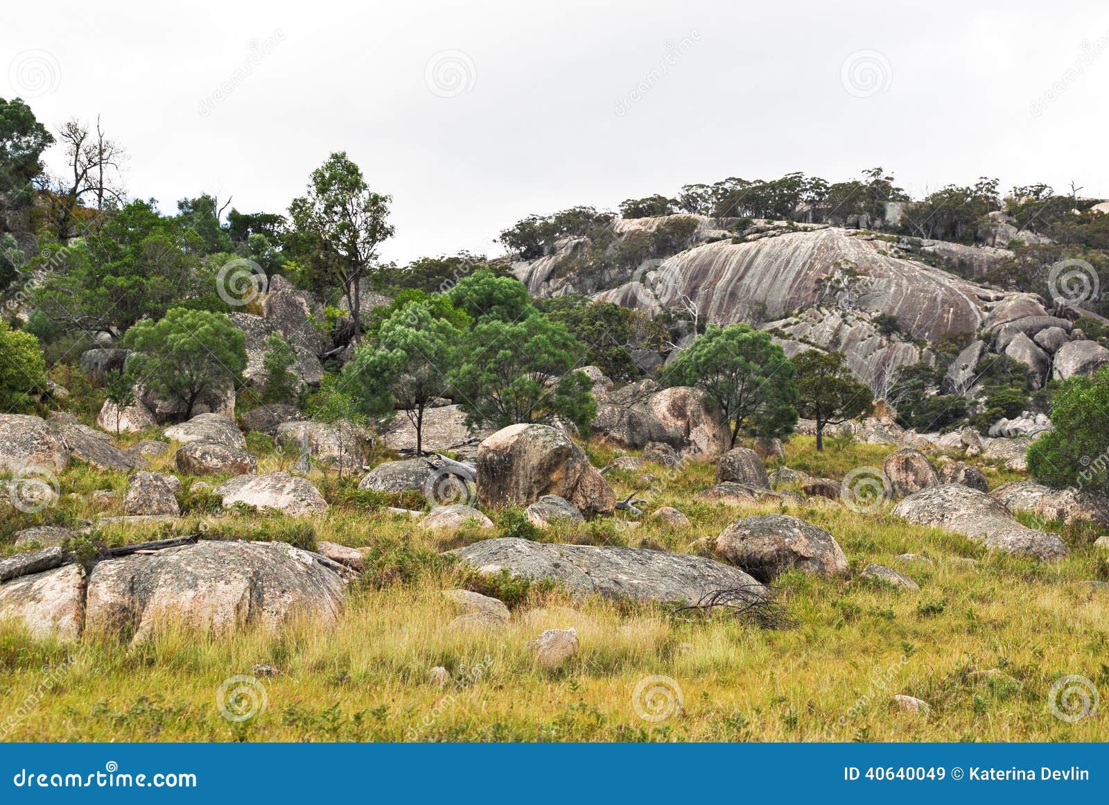 Tenterfield in Australia stock image. Image of granite 40640049
