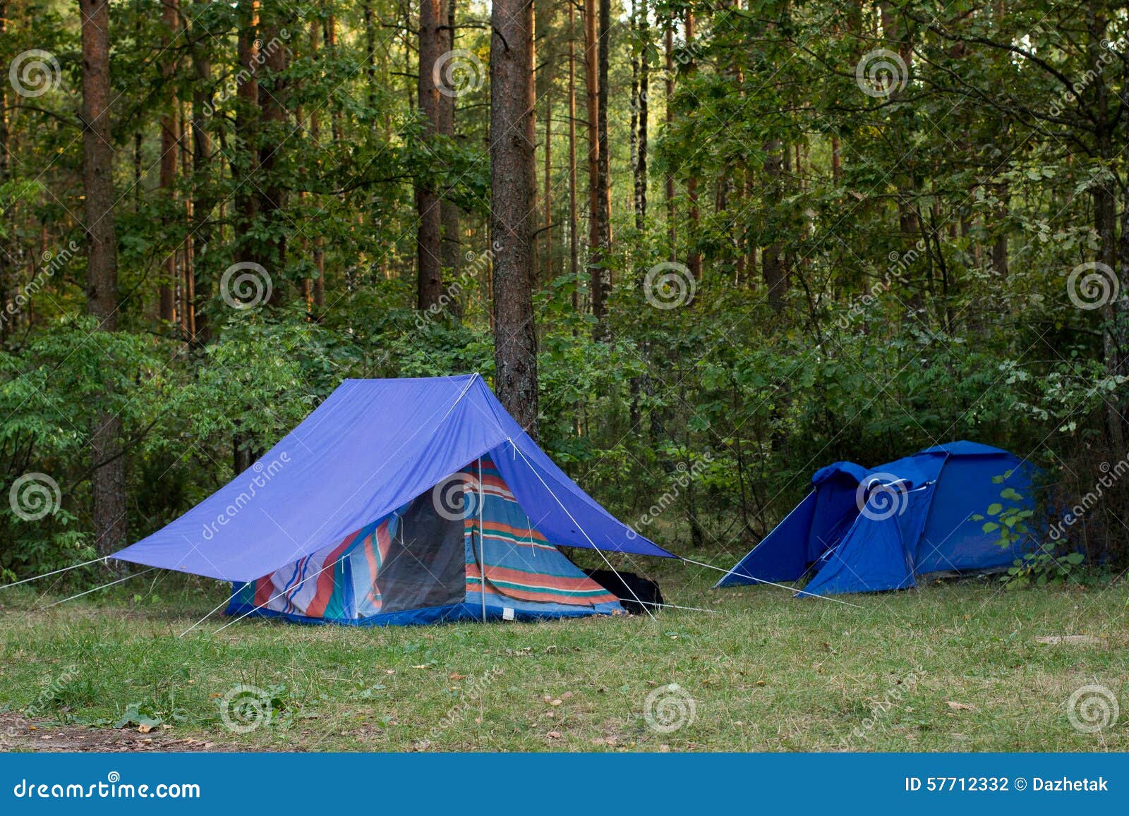 Tents in the woods stock photo. Image of nature, tent 57712332