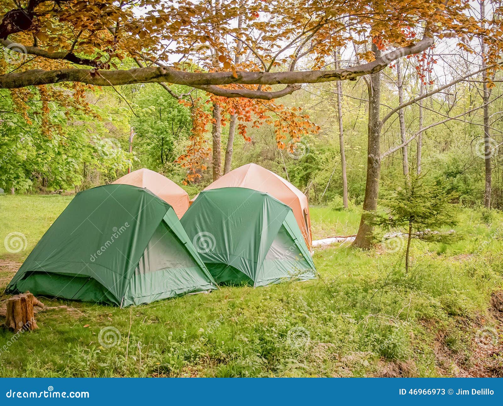 Tents in the woods stock image. Image of glade, outdoors 46966973