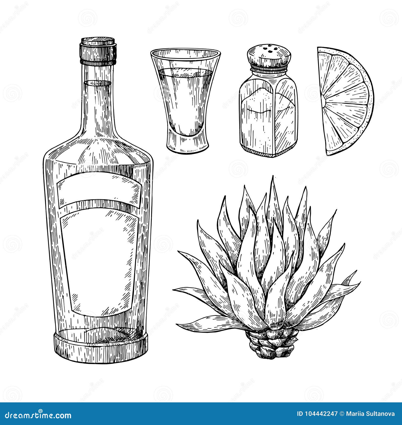 tequila bottle, blue agave, salt shaker and shot glass with lime. mexican alcohol drink  drawing.