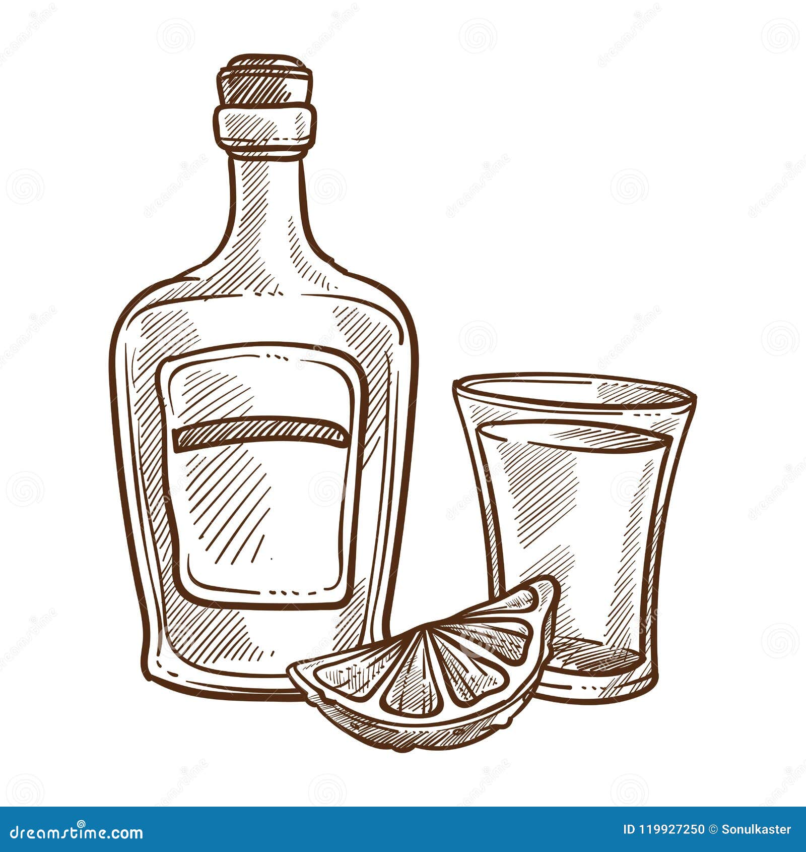 Handdrawn sketch of beer bottle isolated on white background Vector  vintage engraved illustration 21565541 Vector Art at Vecteezy