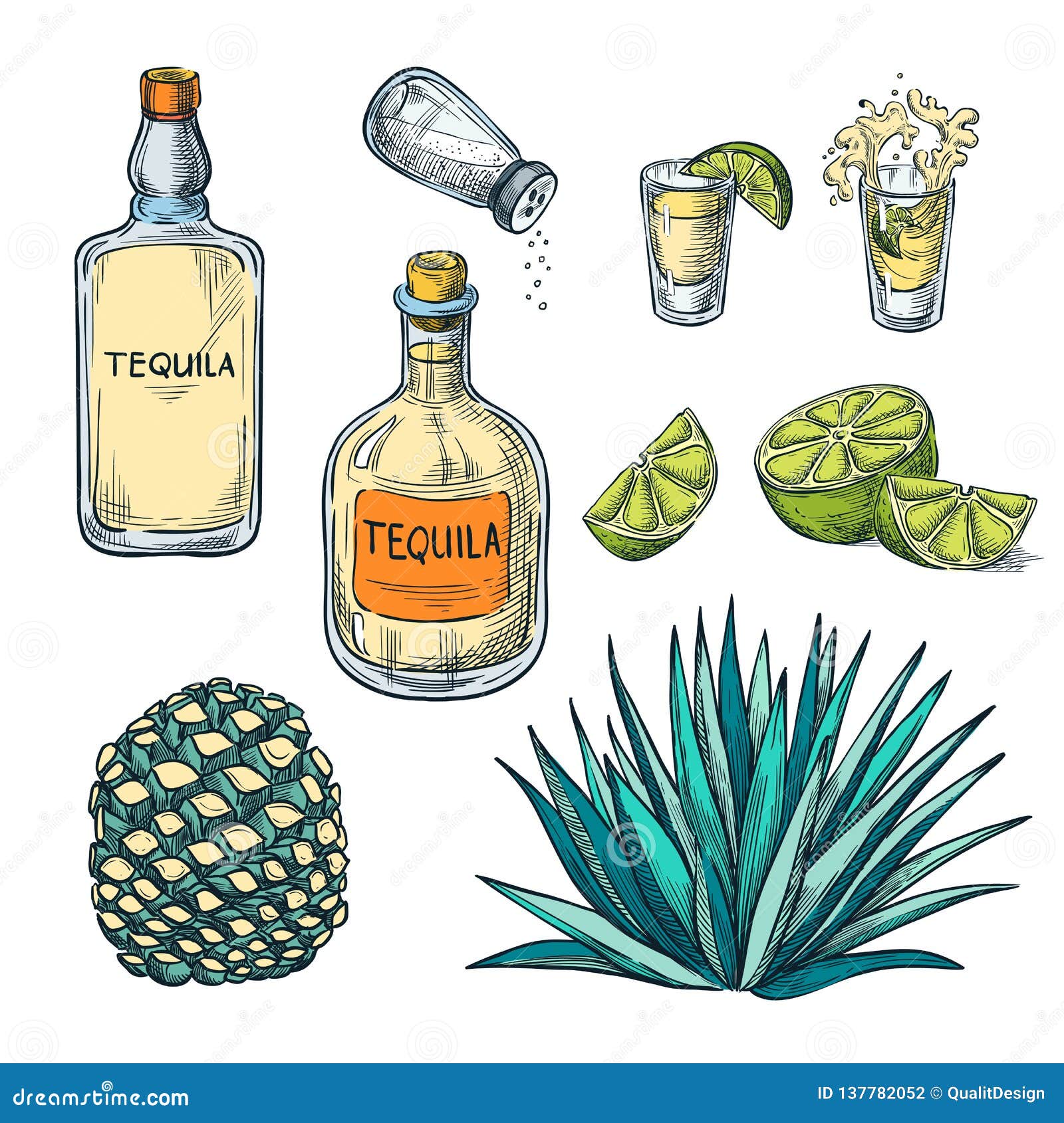 tequila bottle, shot glass and agave root,  color sketch . mexican alcohol drinks menu  s