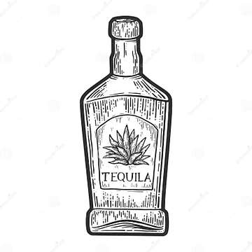 Tequila Bottle Sketch Vector Illustration Stock Vector - Illustration ...