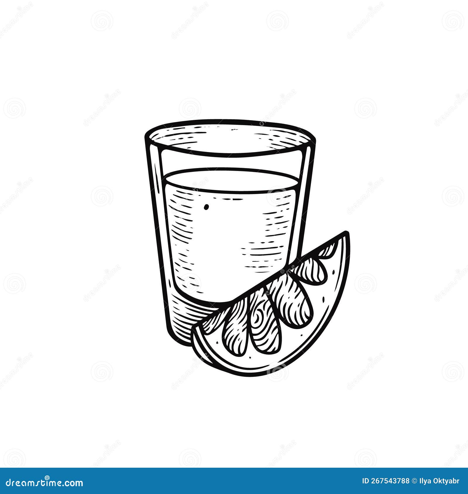 Tequila Hand Drawn Black Color Outline Sketch Style Vector Art ...