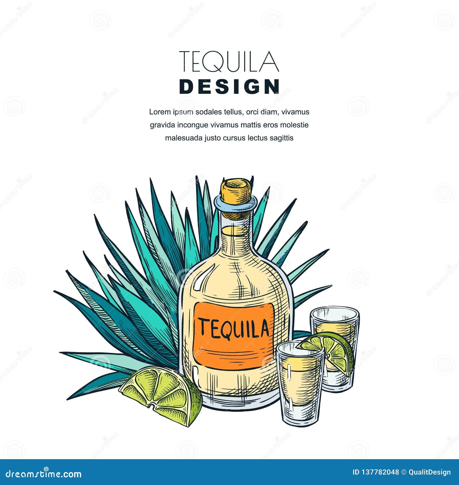 tequila sketch  . bar menu, label, package . bottle, shot glass, agave  on white