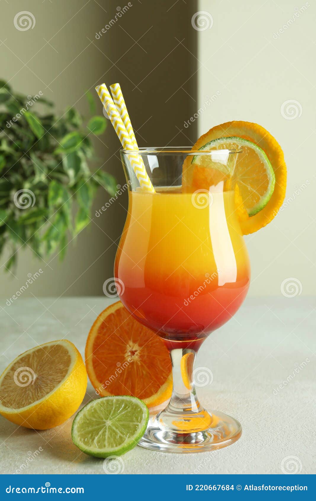 Tequila Sunrise Cocktail and Ingredients on White Textured Table Stock