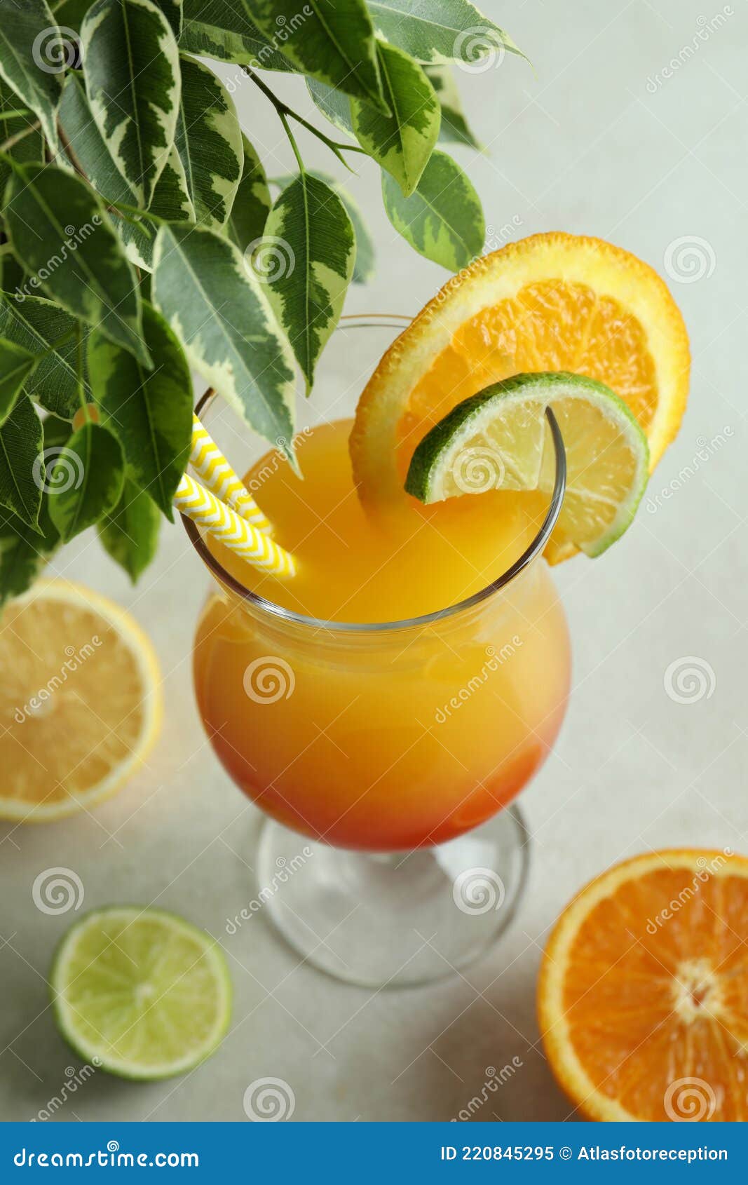 Tequila Sunrise Cocktail and Ingredients on White Textured Table Stock