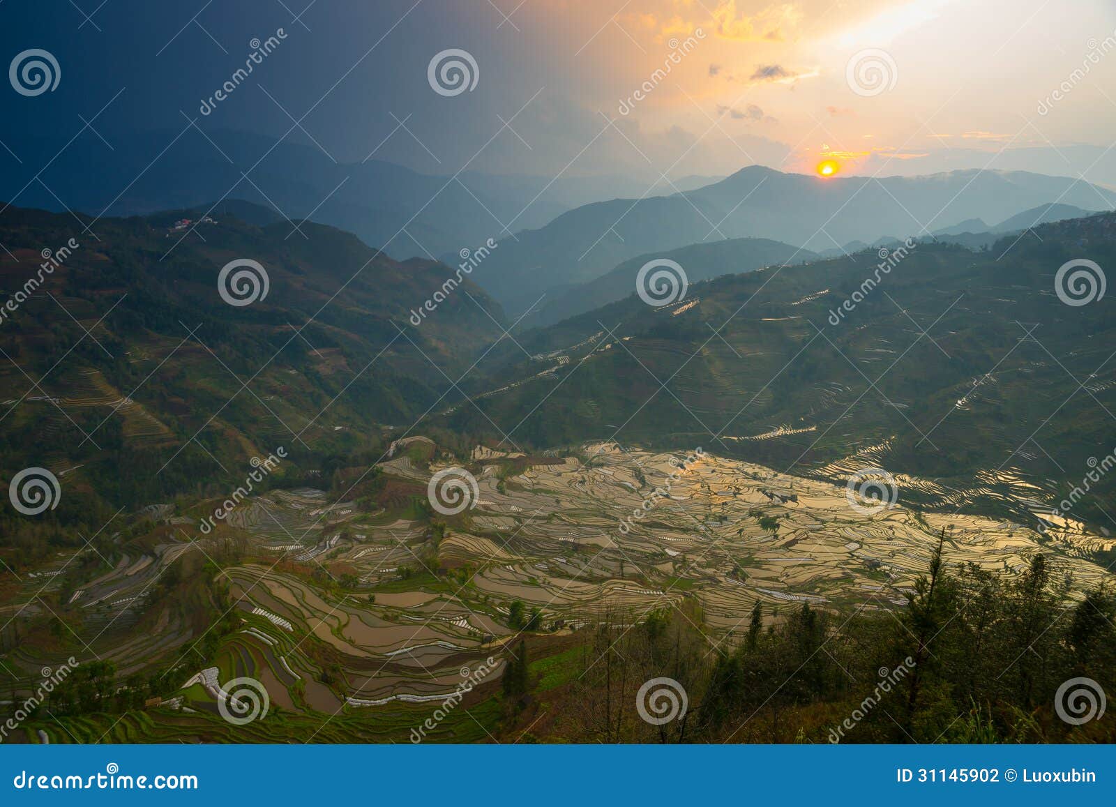 Schönes terassenförmig angelegtes Reisfeld in Yunnan, China