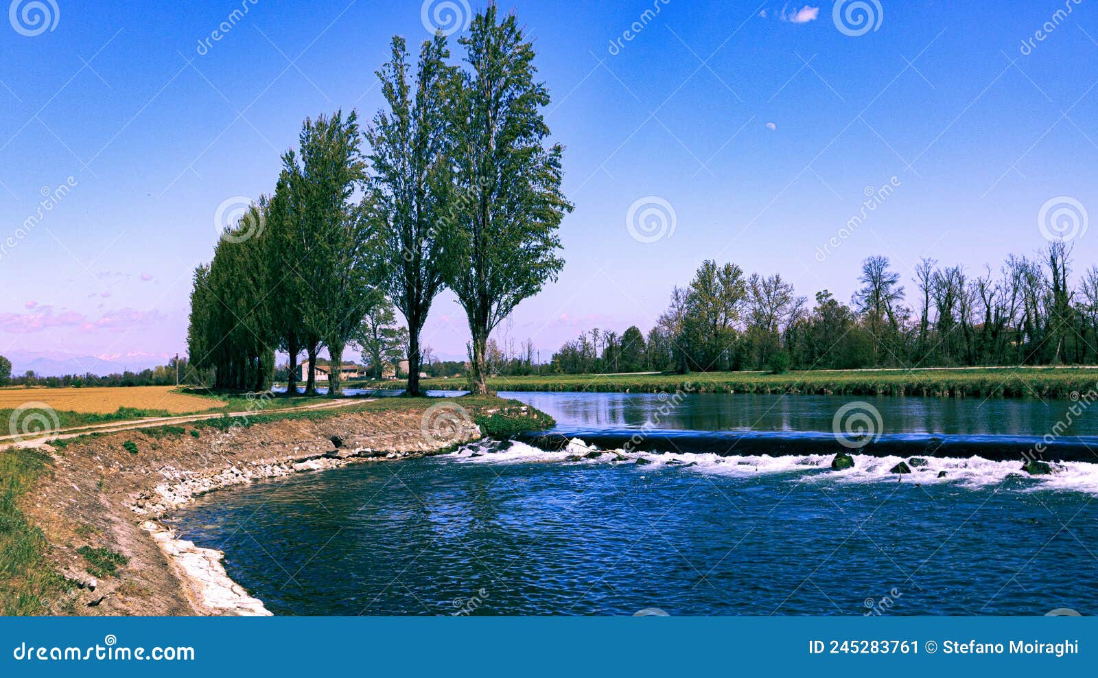 Teresa in Lombardia fields stock image. Image of teresa 245283761