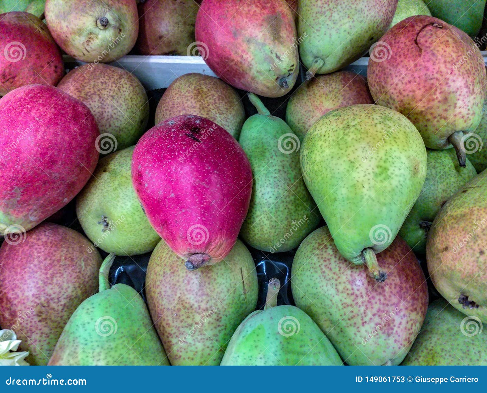 the term pear refers to the fruit