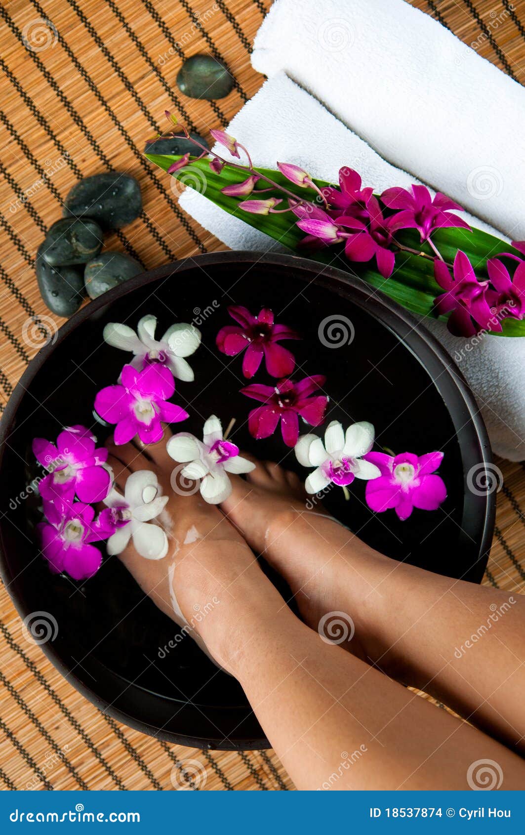 Fundo dos termas com pedras e orquídeas da massagem