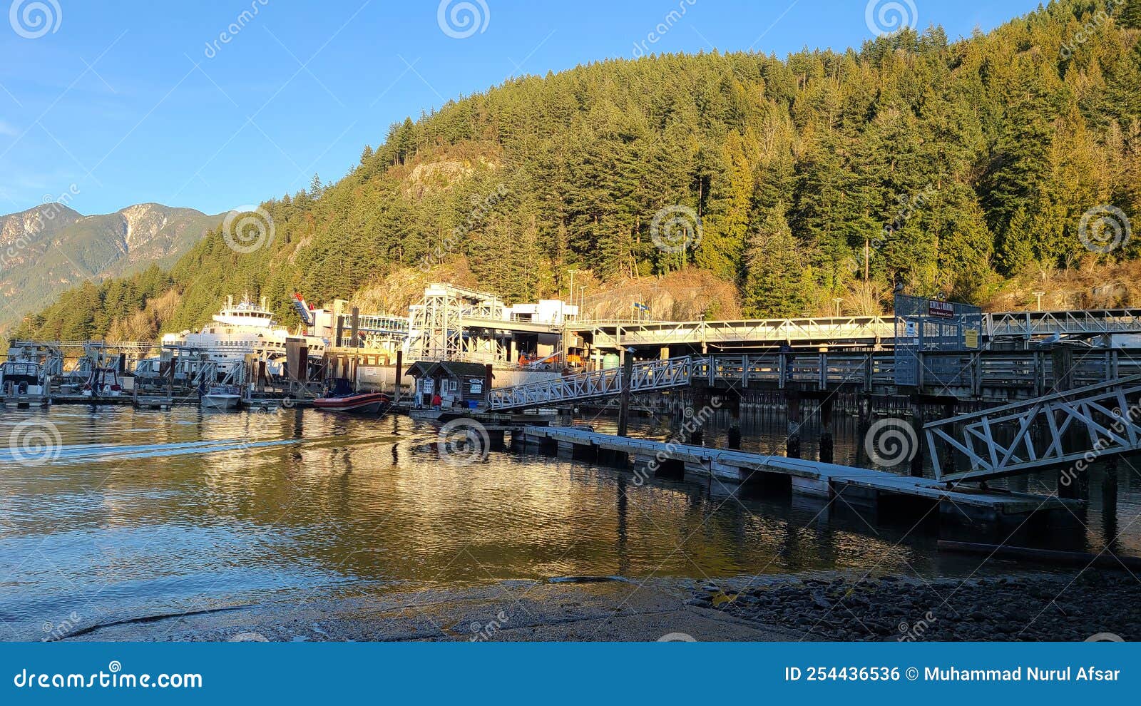 Terminal de horseshoe bay photo éditorial. Image du arbre 254436536