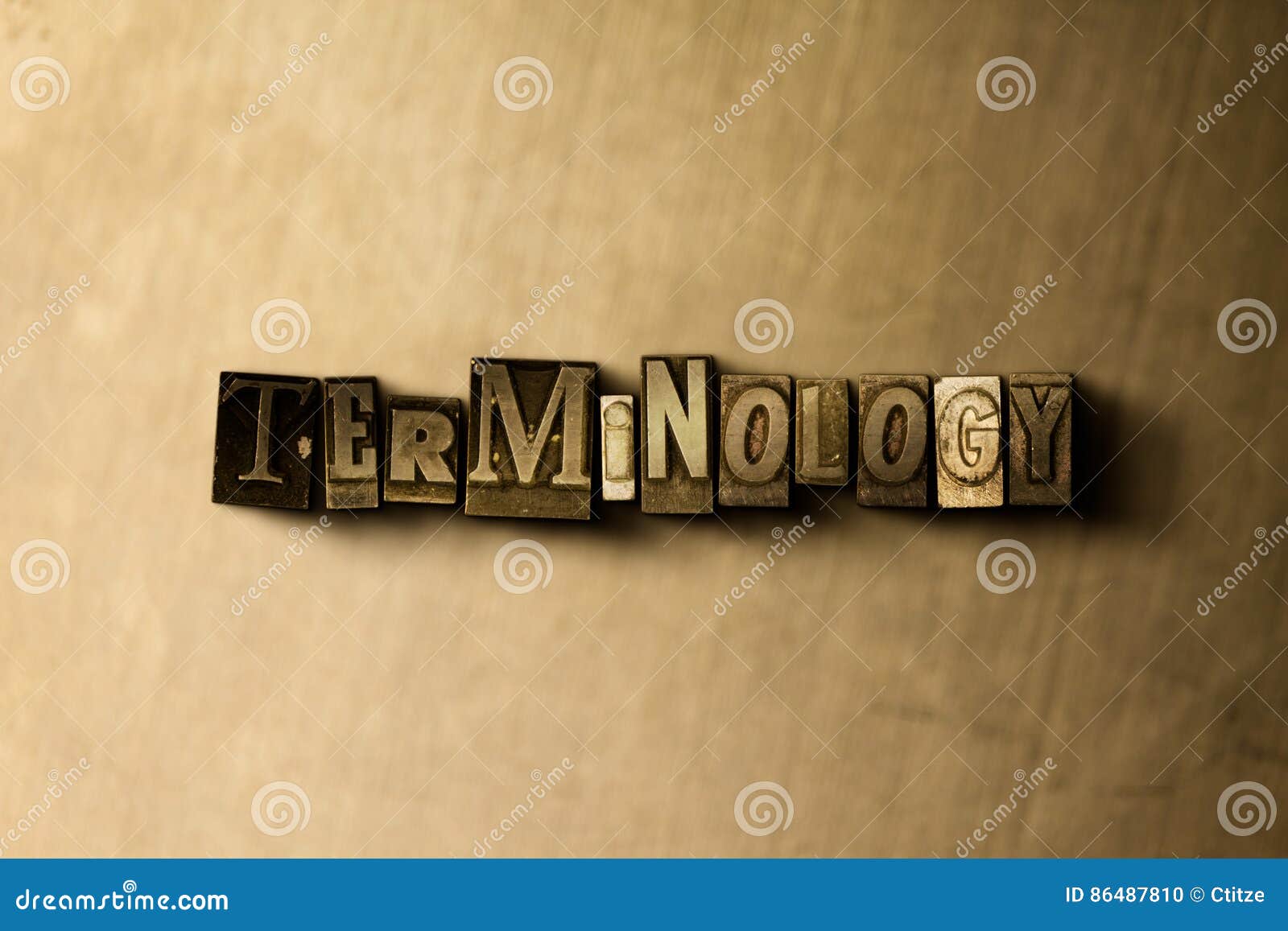 terminology - close-up of grungy vintage typeset word on metal backdrop