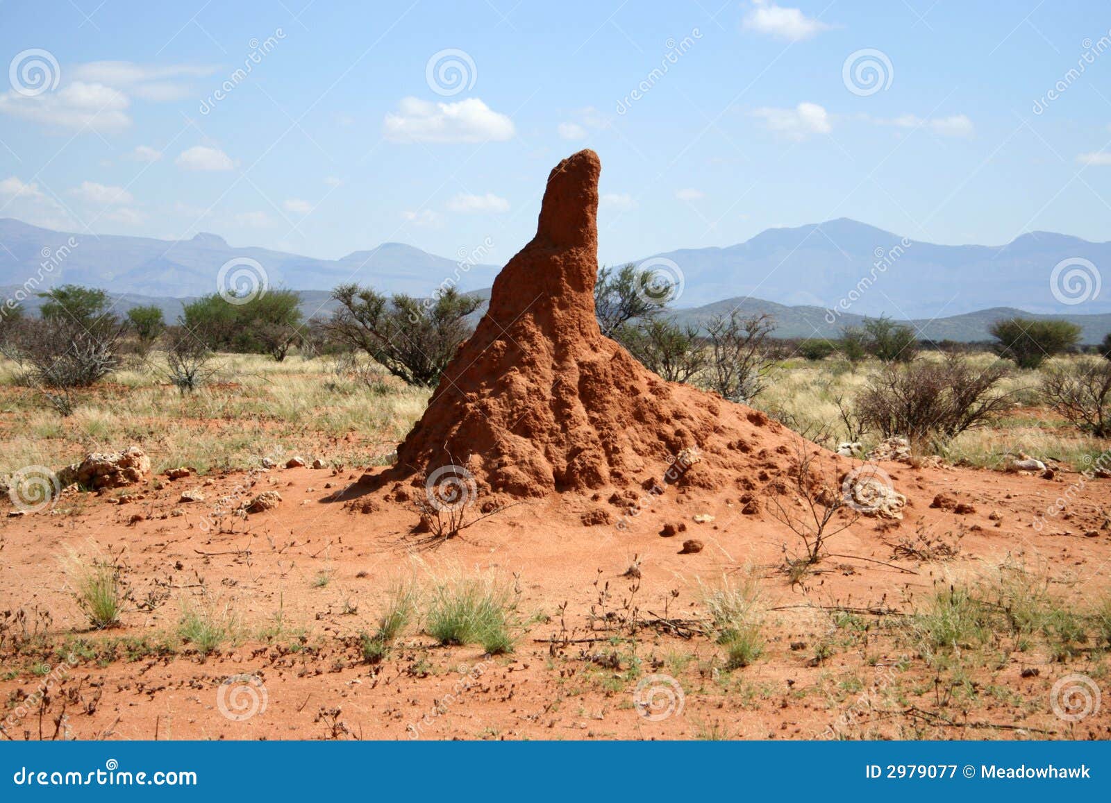 termite mound, namibia, africa