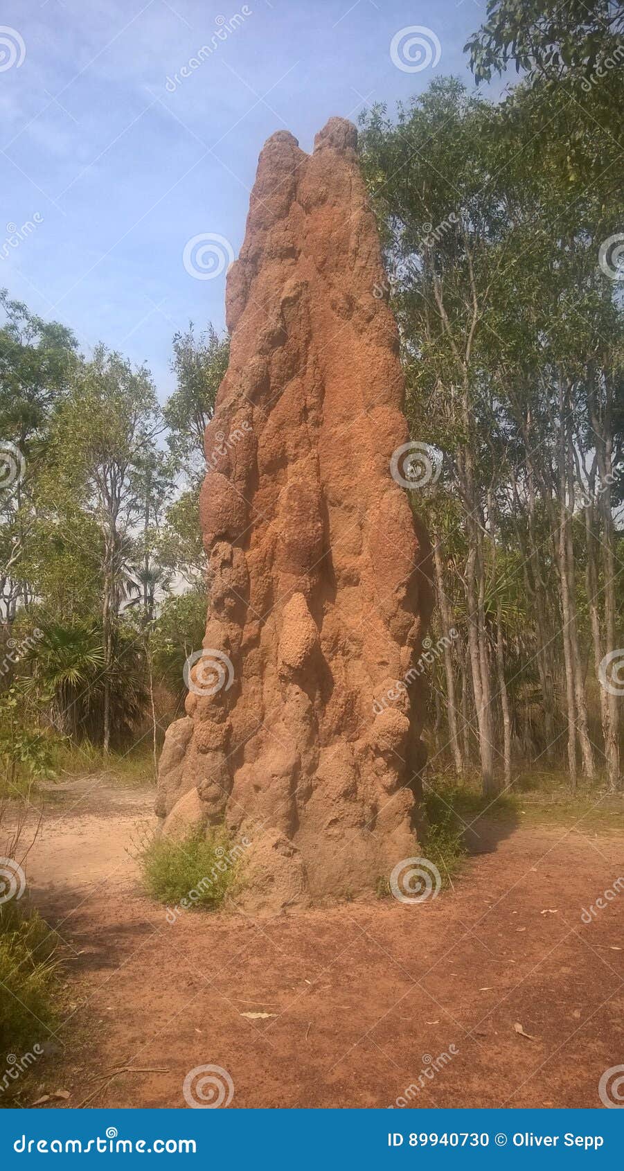 Termite nest stock photo. Image of sand, outback, austrlia 89940730