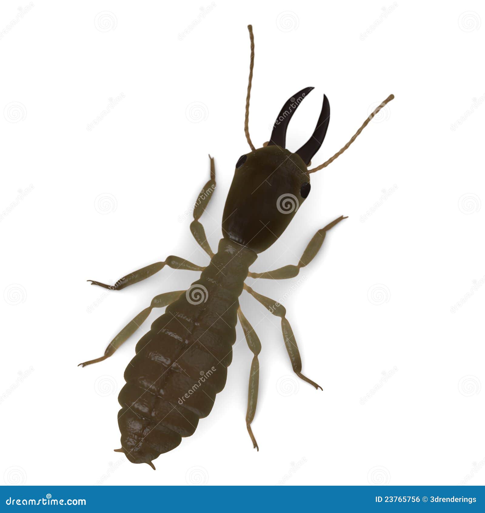 Termite soldier stock illustration. Illustration of subterraneaan