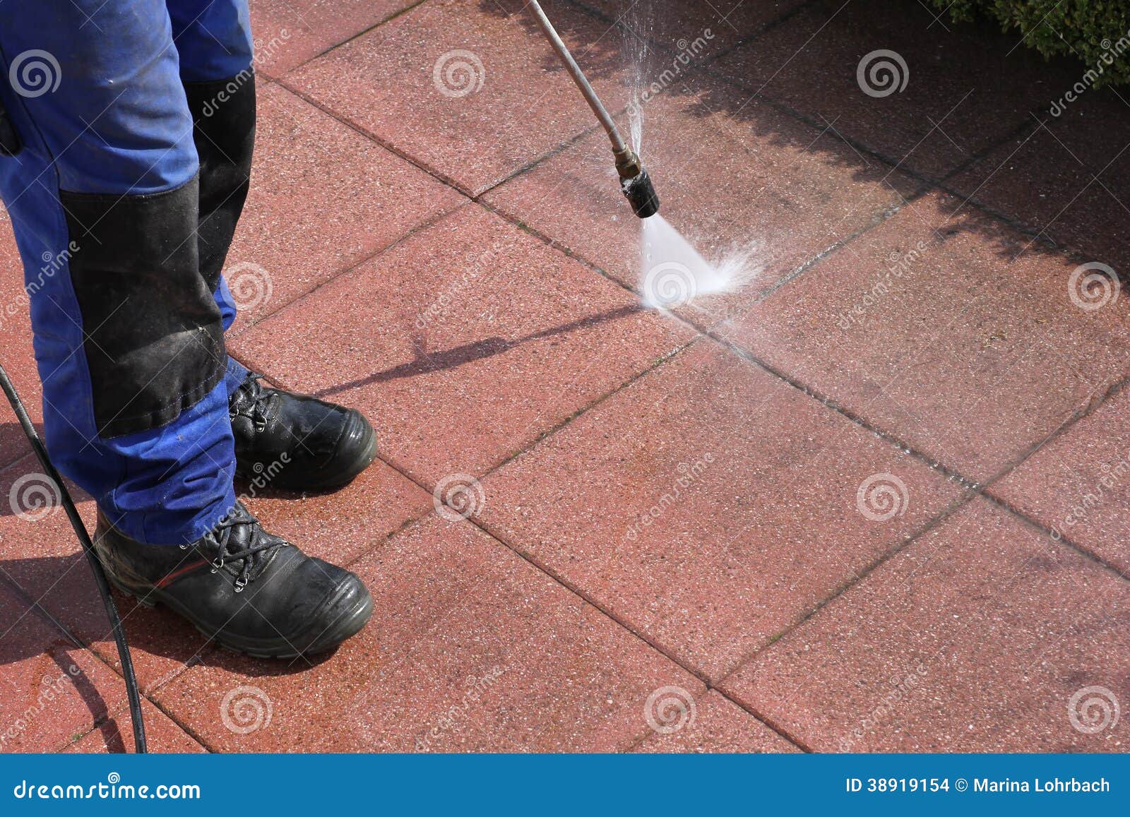 Terrace Cleaning with Highpressure Stock Photo Image of hedge