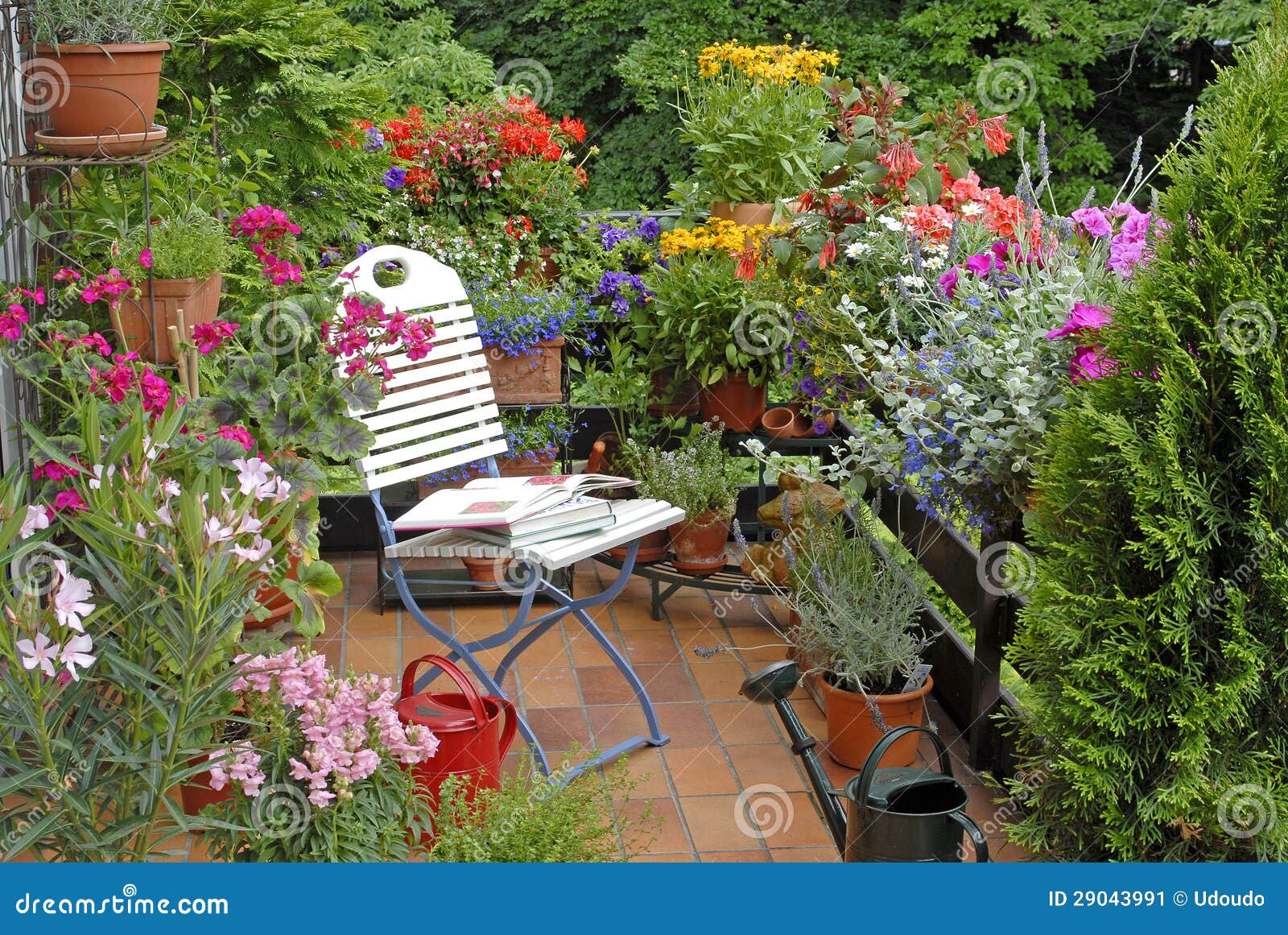 Terrace with flowers. Terrace with colorful flowers and white chair.