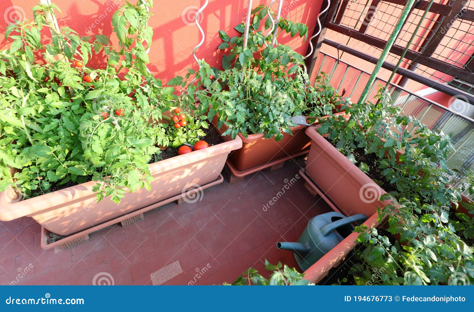 house with an urban vegetable garden and flower pots with tomato