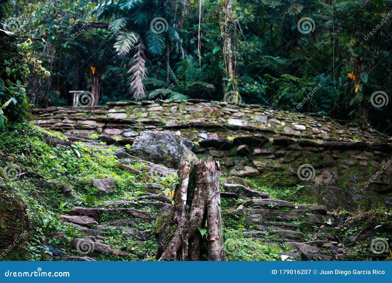 terrace from where a house had been built in the lost city indigenous name teyuna