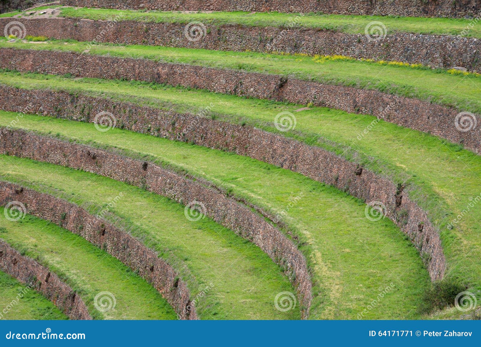 terraced fields in the inca archeological area of pisac, peru.