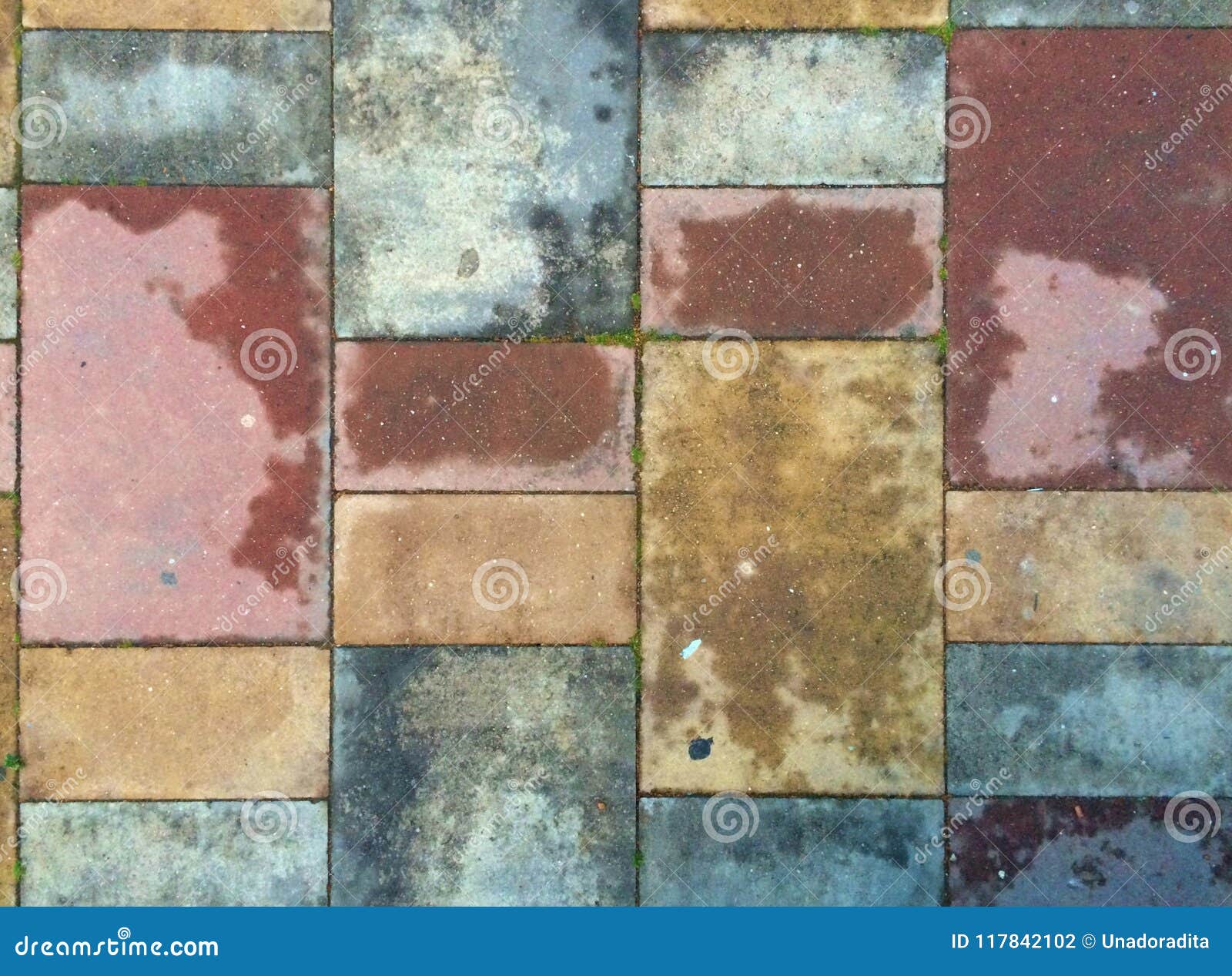 Terraced Multicolored Terracotta Flooring Wet Stock Photo Image