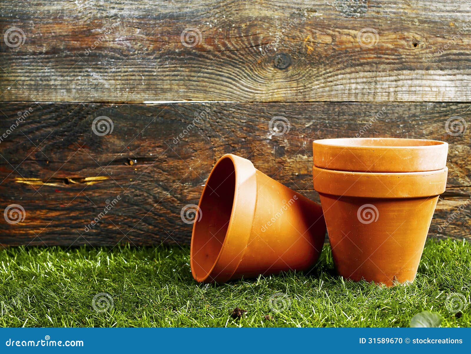 terracotta flower pots