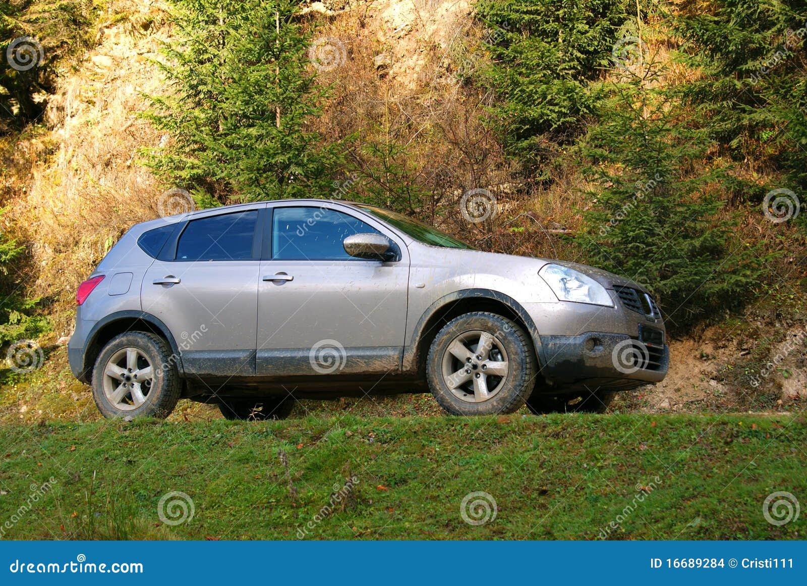 terrain car in mud
