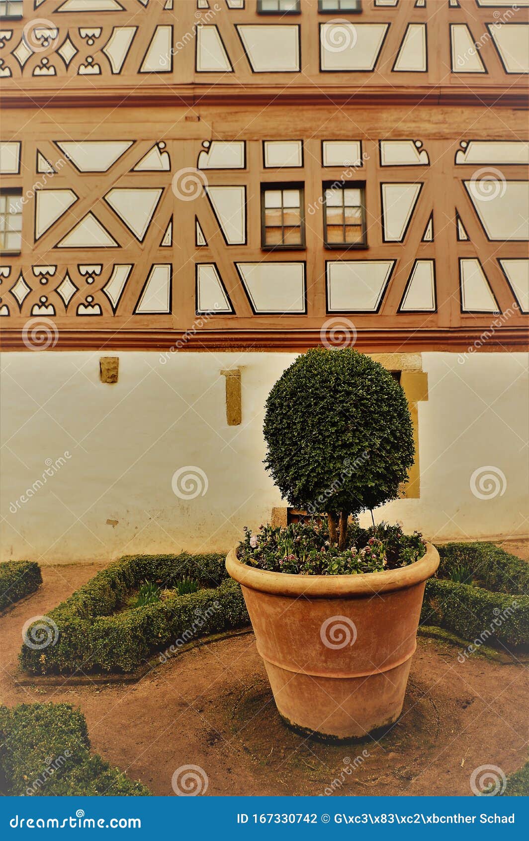 TerrakottaPflanzenreg Mit Kastenbaum Vor Einer Halb Bewaldeten Fassade