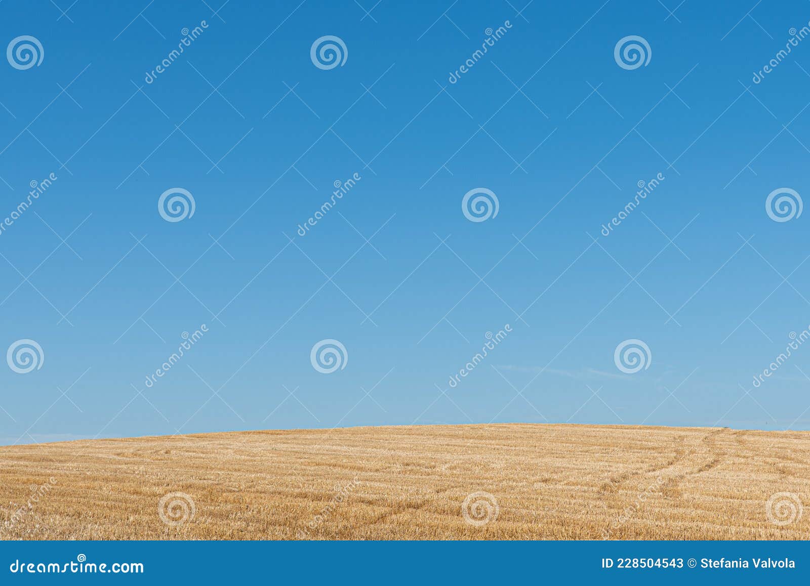 terreno agricolo contro il cielo azzurro chiaro