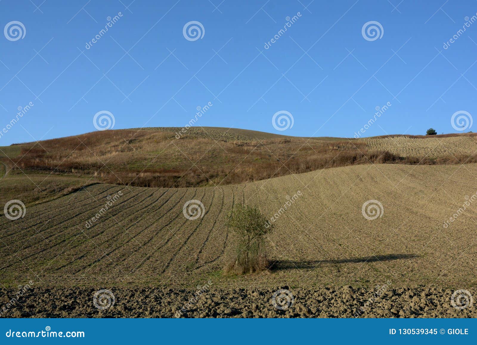 terreno per coltivazioni,campania, italia.