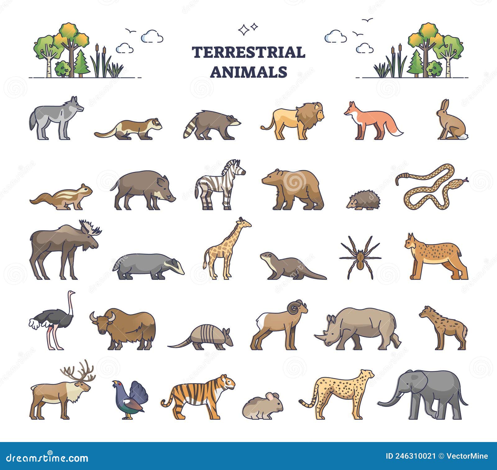Terrestrial Animals Group As Living Species on Land Outline Collection Set  Stock Vector - Illustration of terrestrial, region: 246310021