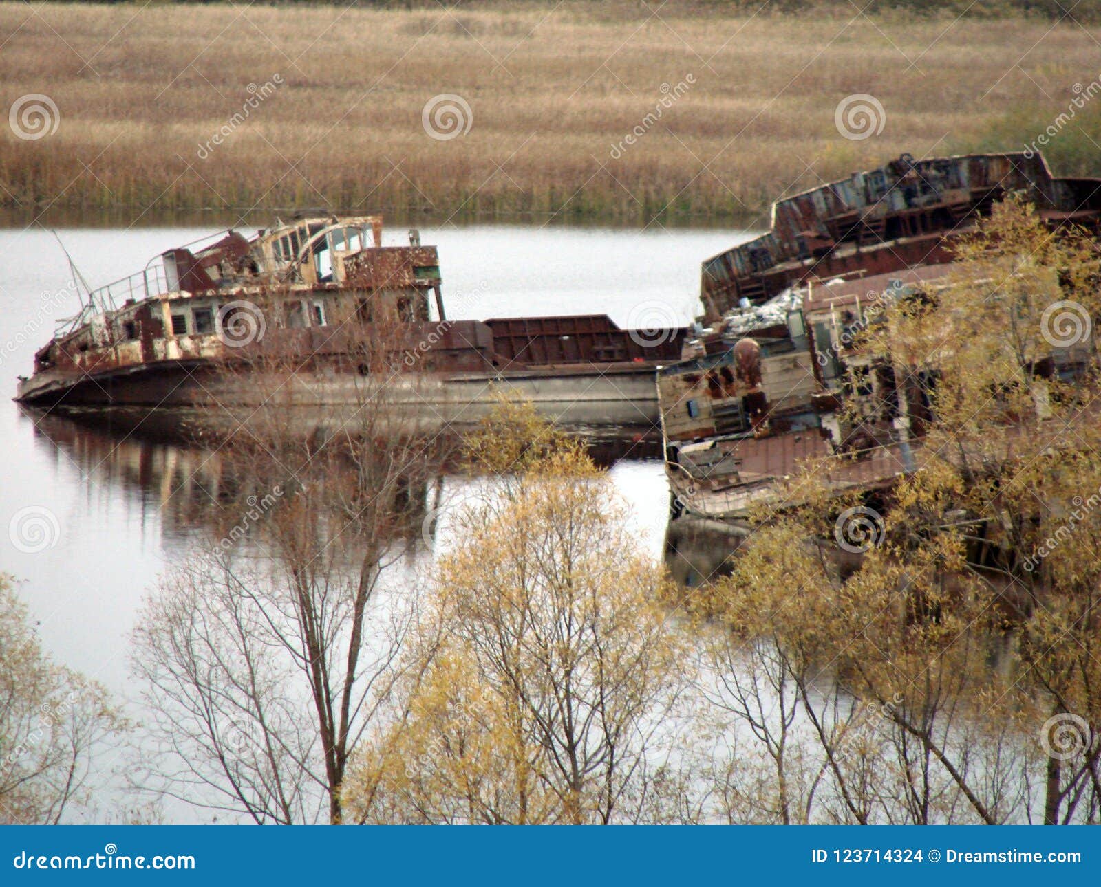 Terrible Consequences of the Explosion at the Chernobyl Nuclear Power