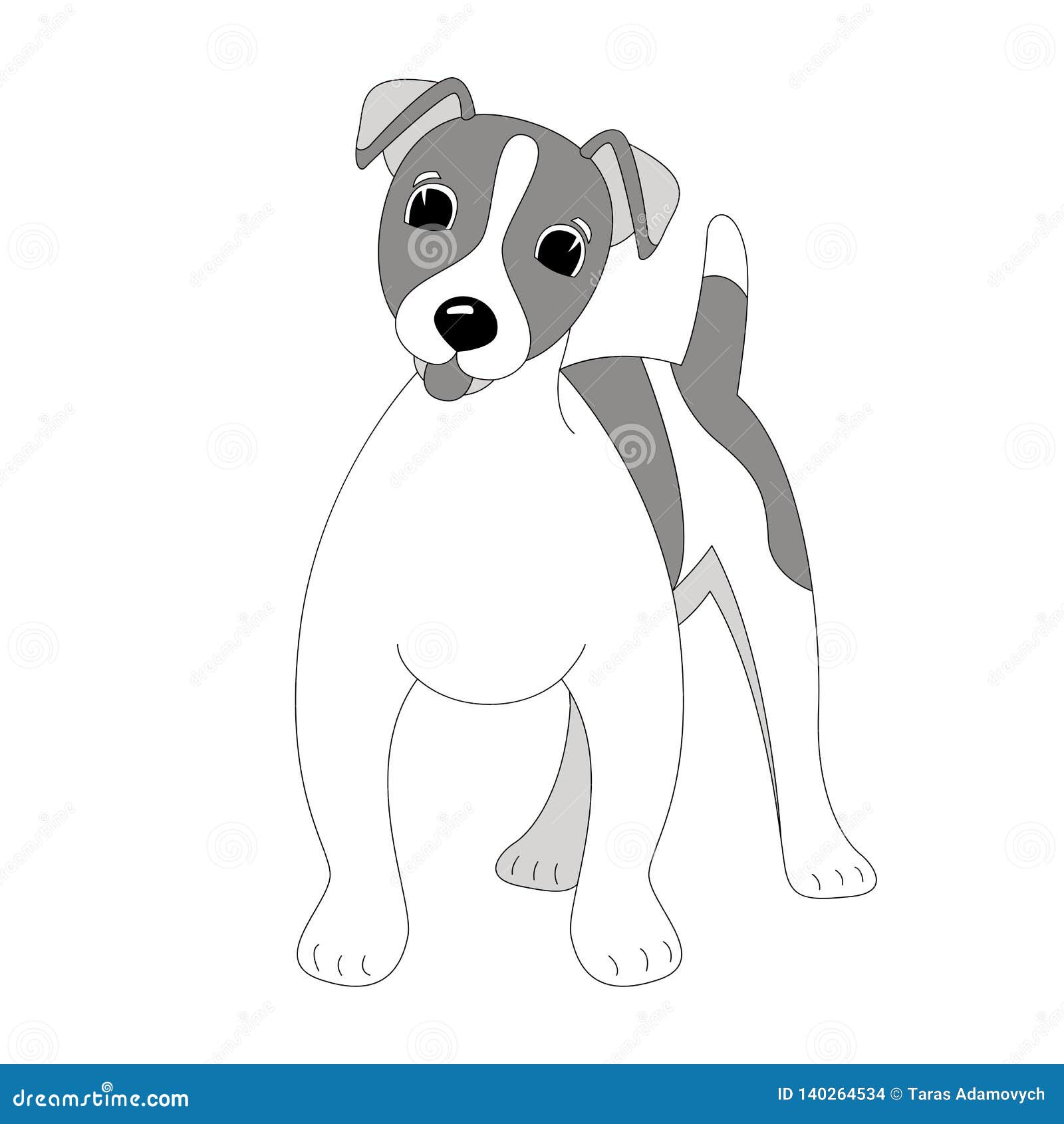 terrier jack russell puppy, , lining draw ,