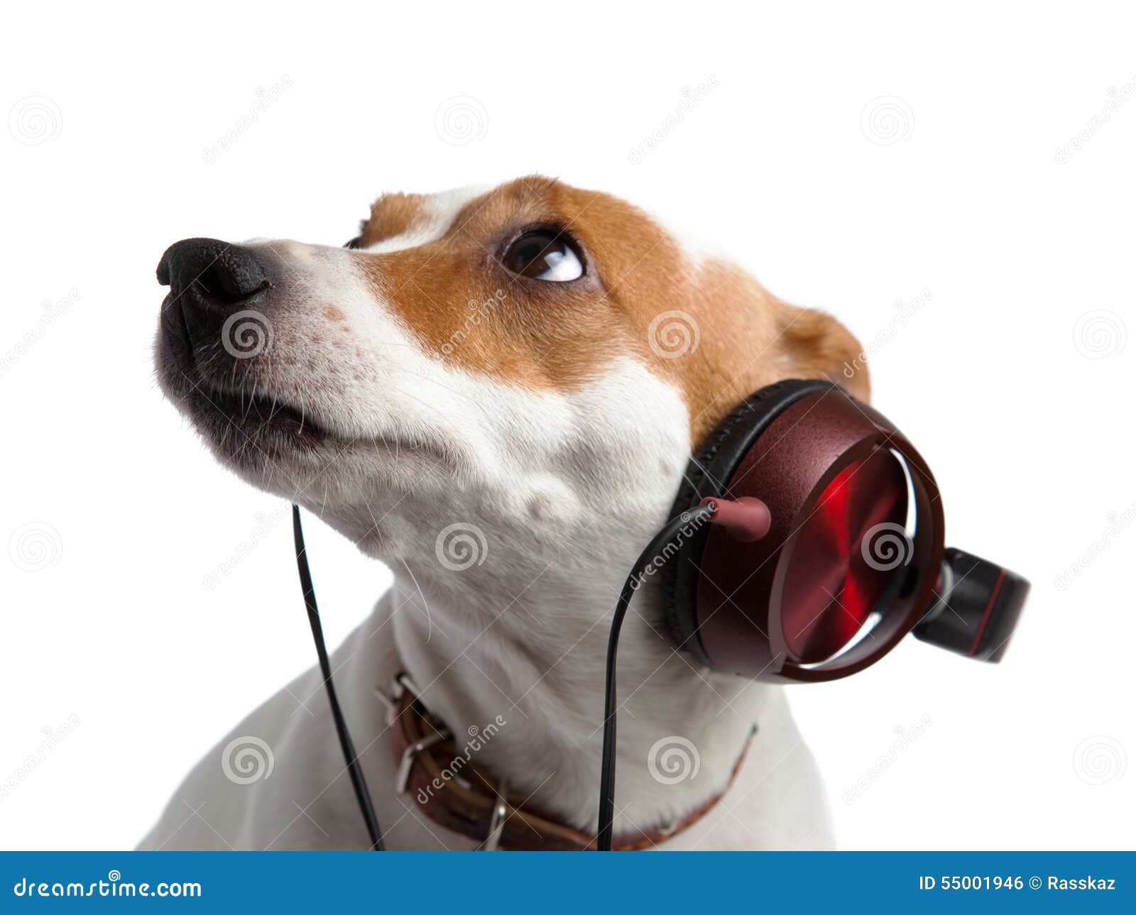 21,297 Funny Listening Stock Photos - Free & Royalty-Free Stock Photos from  Dreamstime