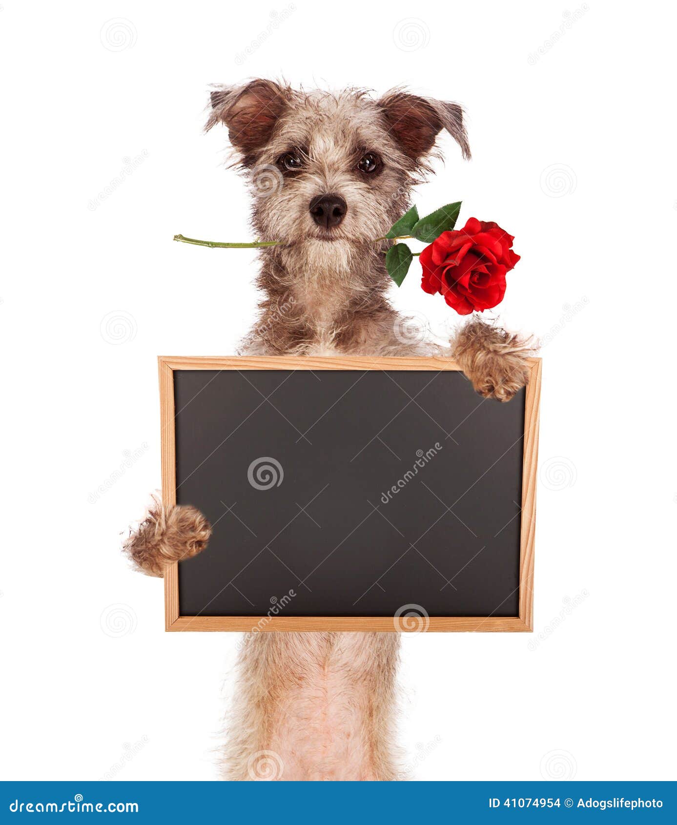 Chalk Blackboard Pug Standing Dog Shape for Memos Notes & Home Decor Pet 